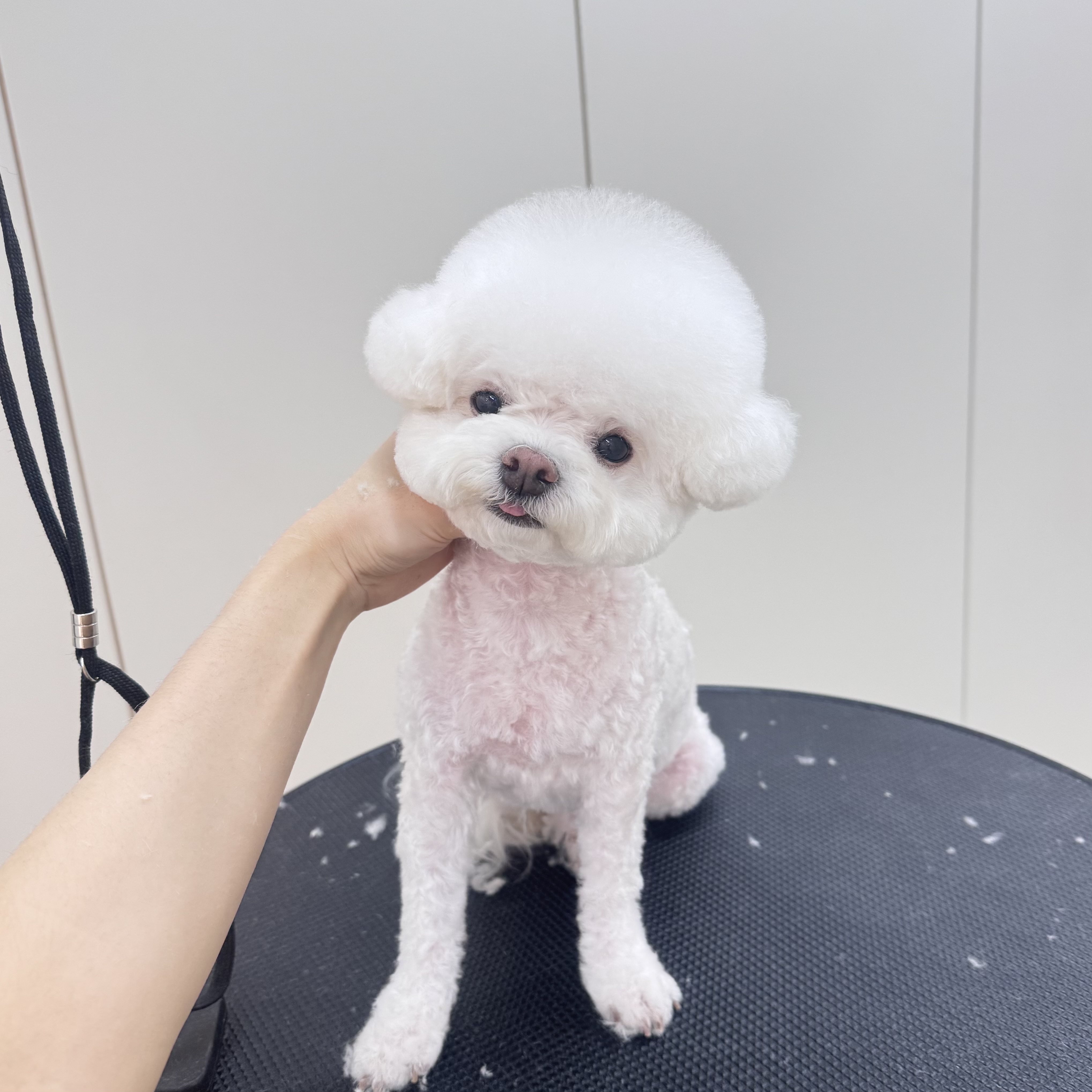 퍼피플레이스 대표 이미지