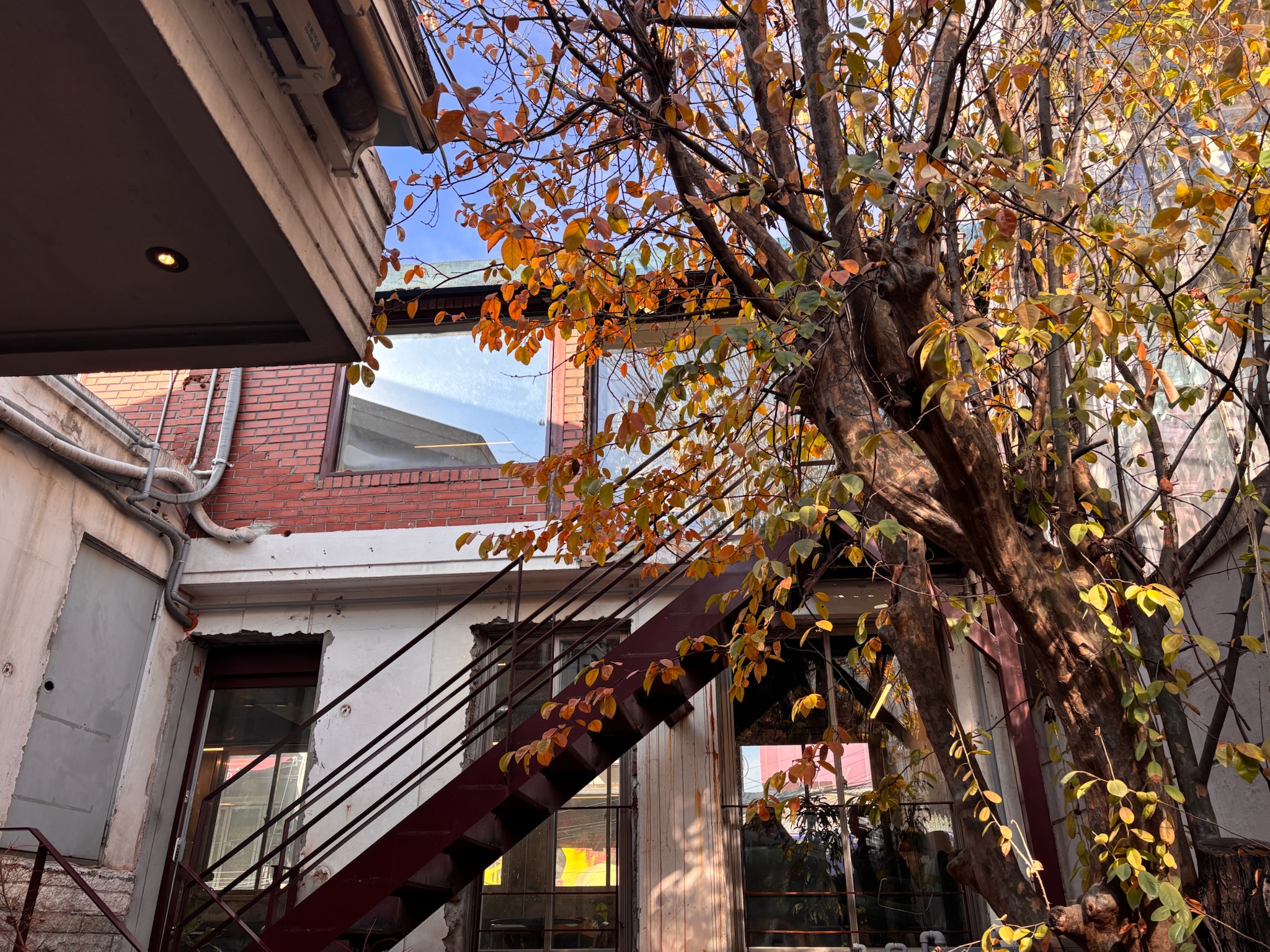 이코복스커피 대표 이미지