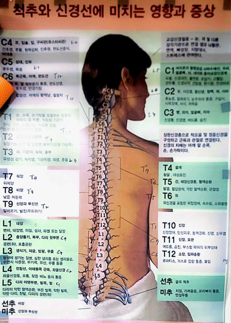 족심도기혈마사지 photo 9