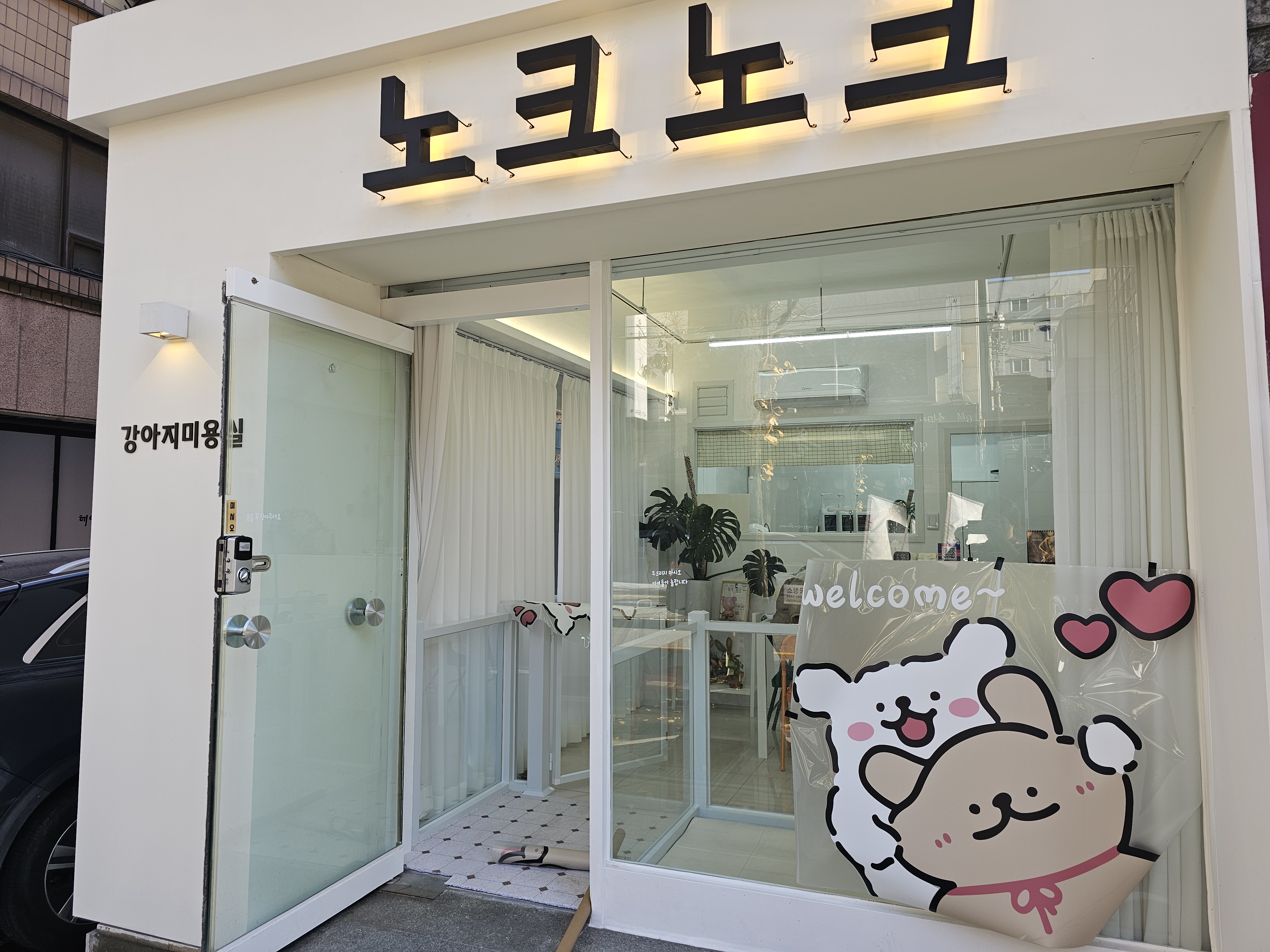 노크노크