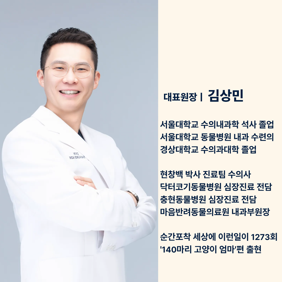 오디세이동물심장내과 대표 이미지