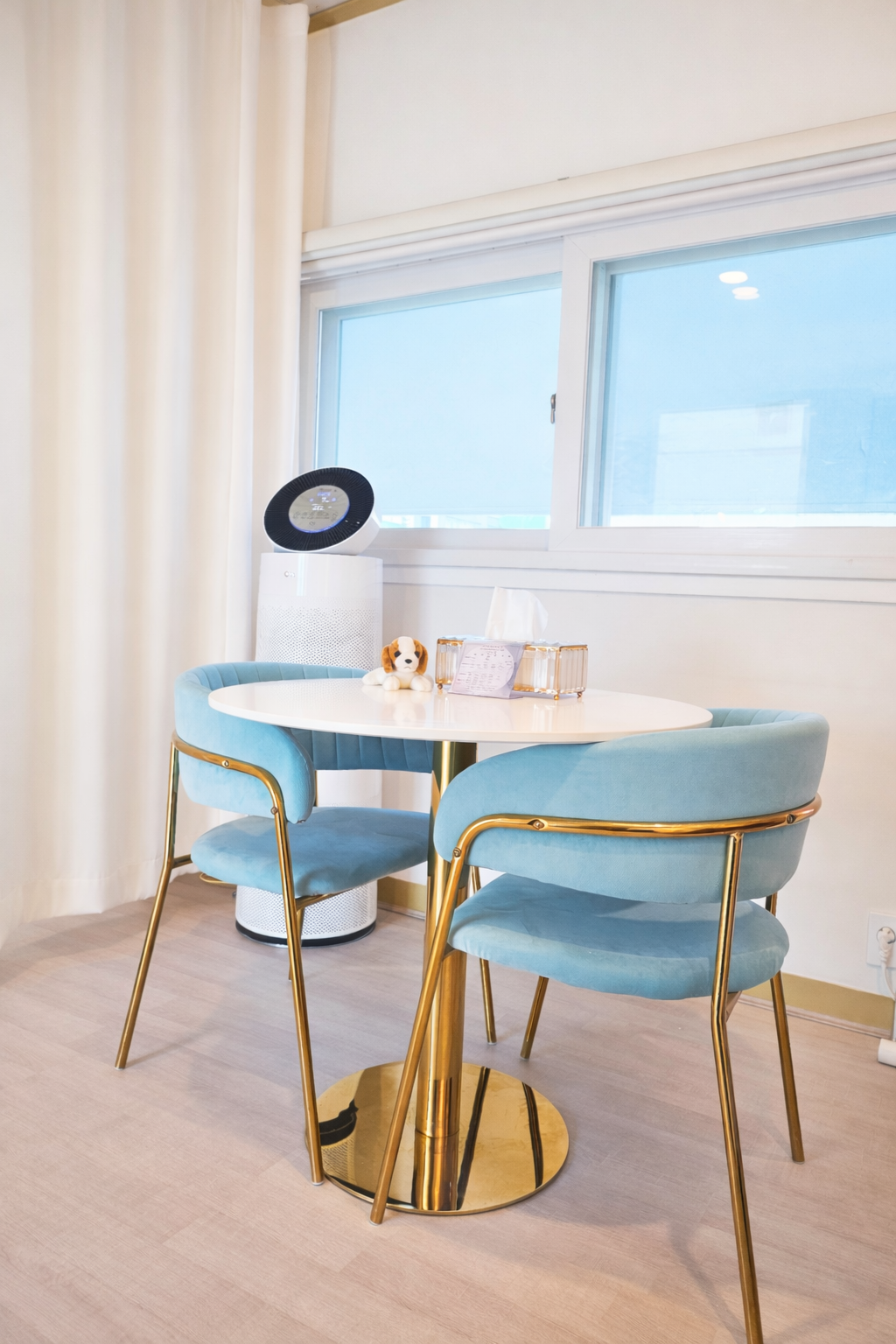 엔솔라요가 대표 이미지