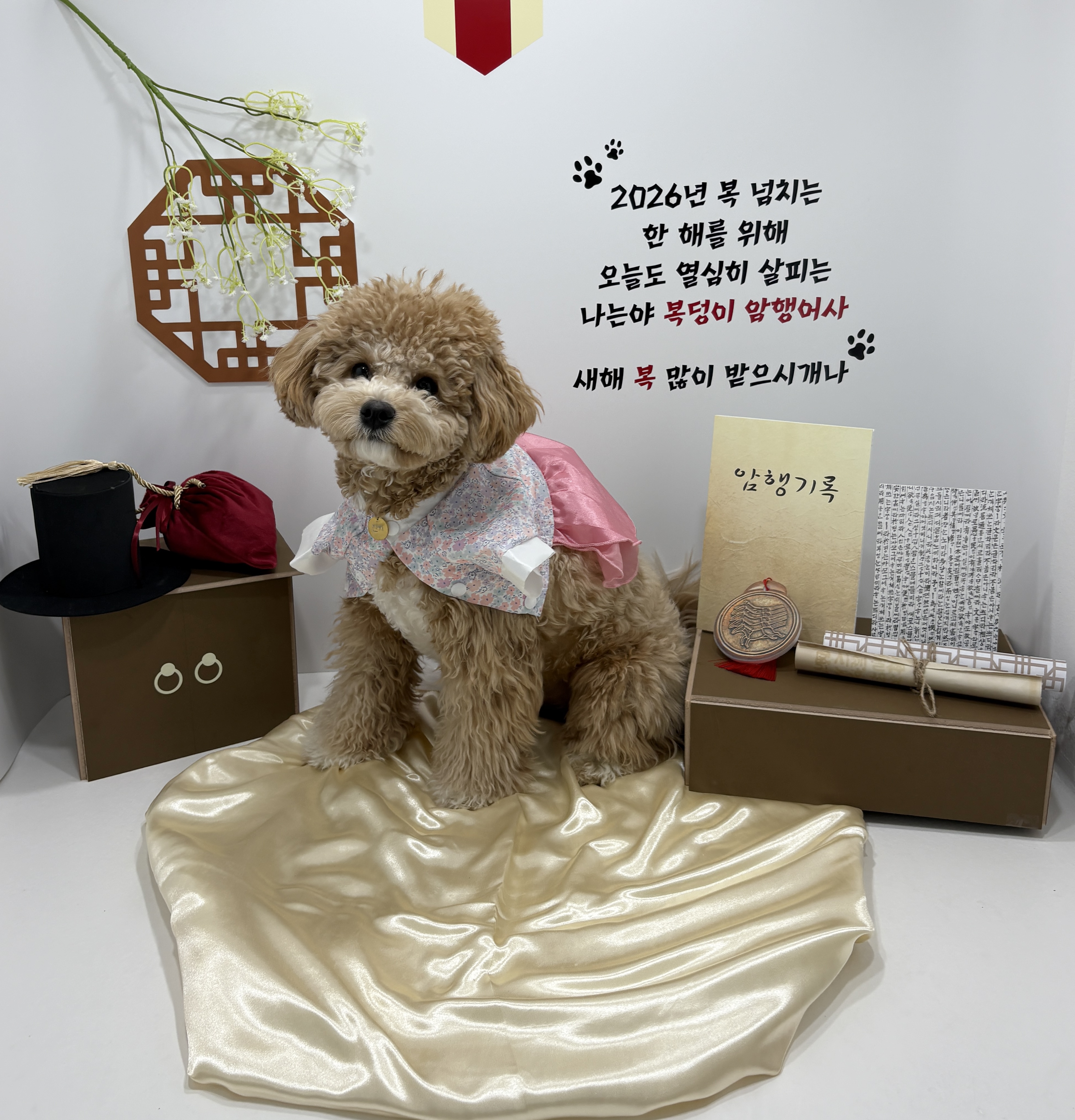 안녕퍼피 5