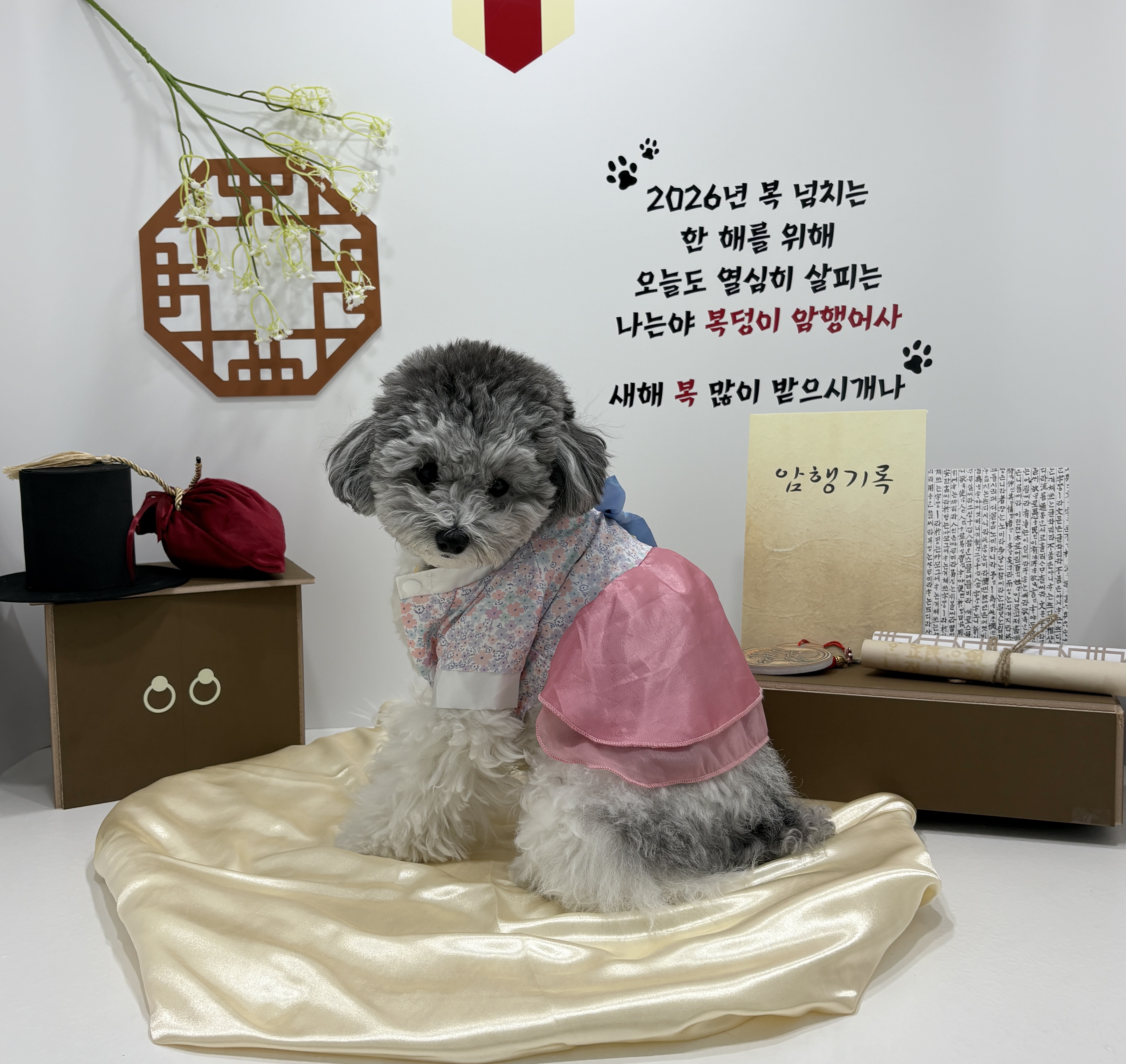 안녕퍼피 반려동물 동반 애견카페