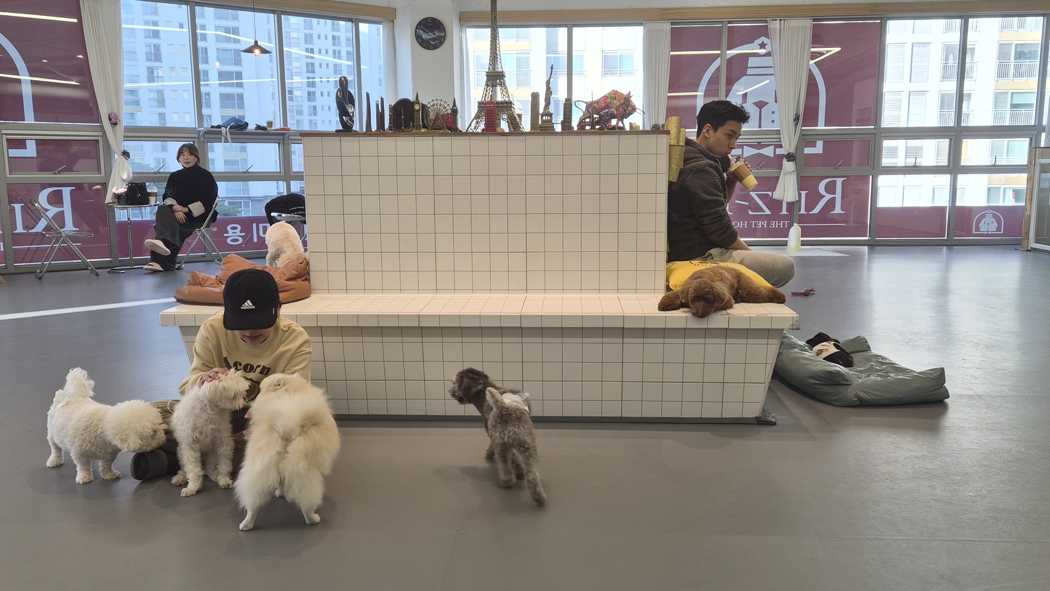 리츠펫 이시아폴리스점 7