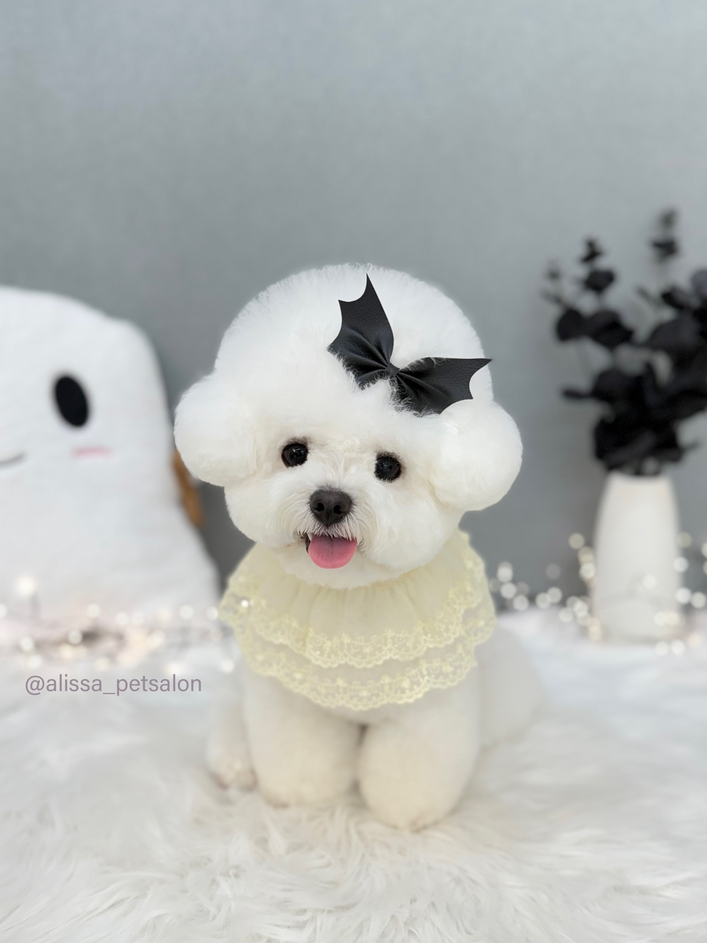 앨리사 대표 이미지