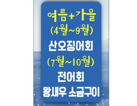 목포스타