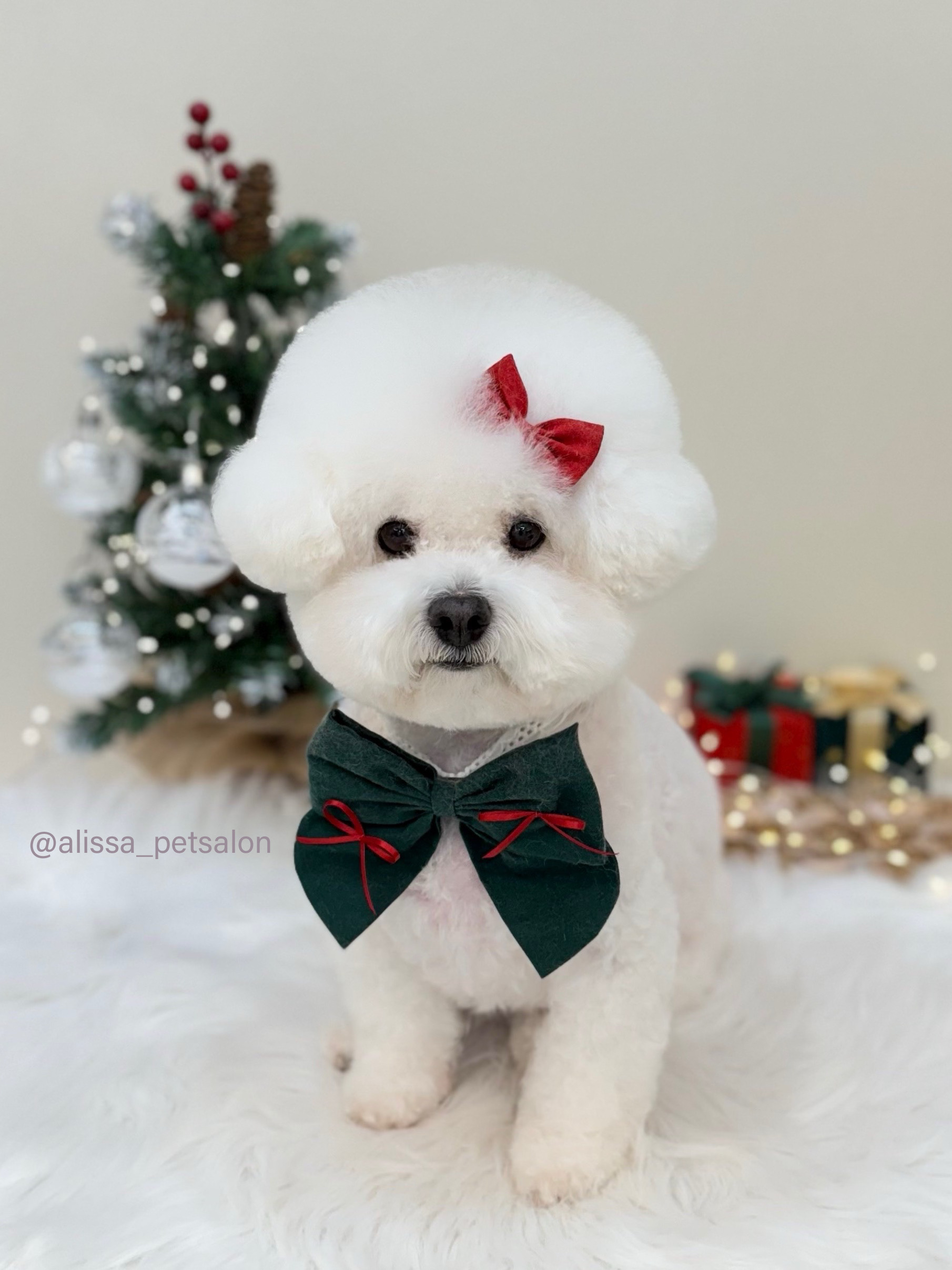 앨리사 대표 이미지