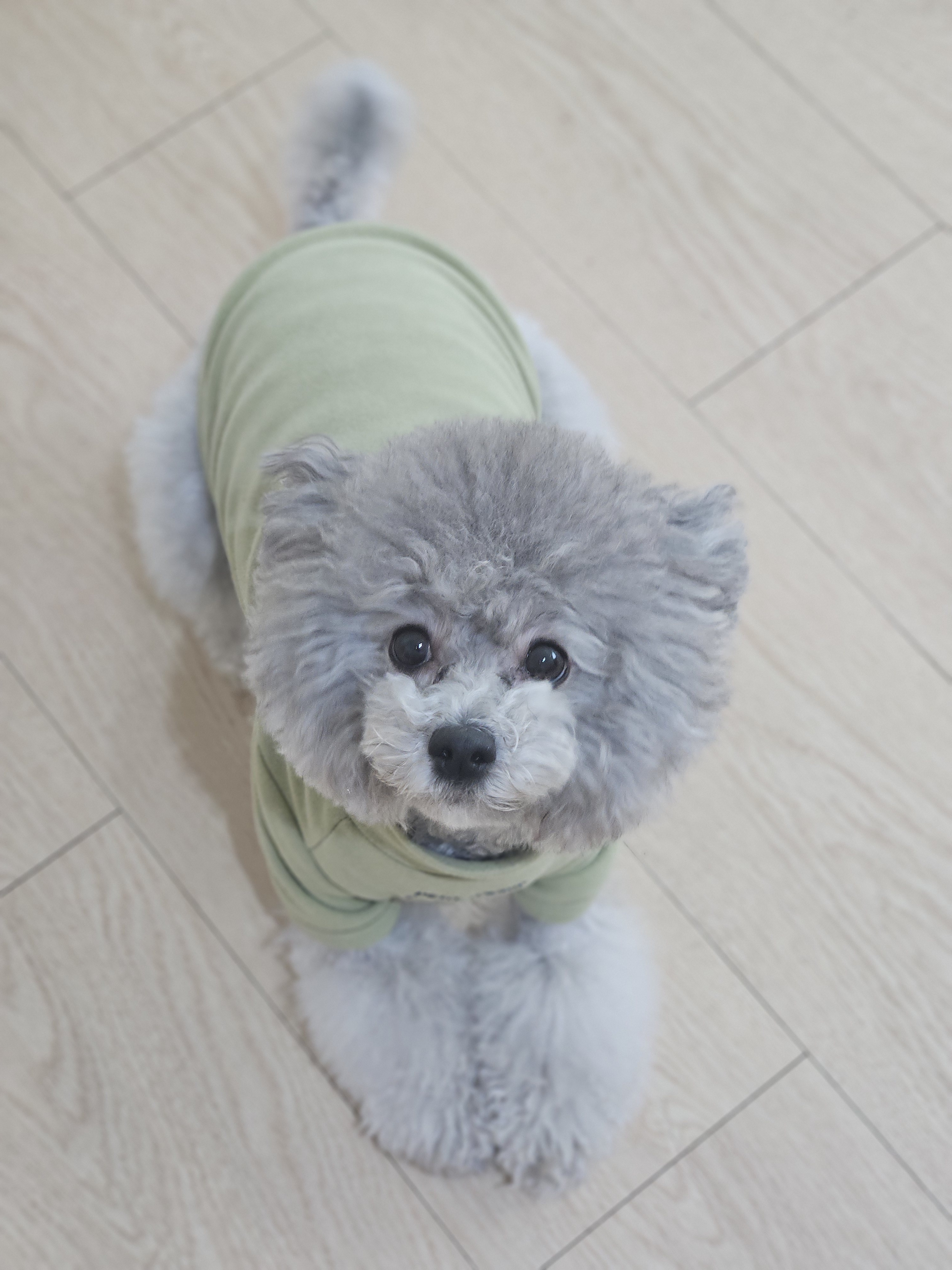 케니애견돌봄센터 대표 이미지