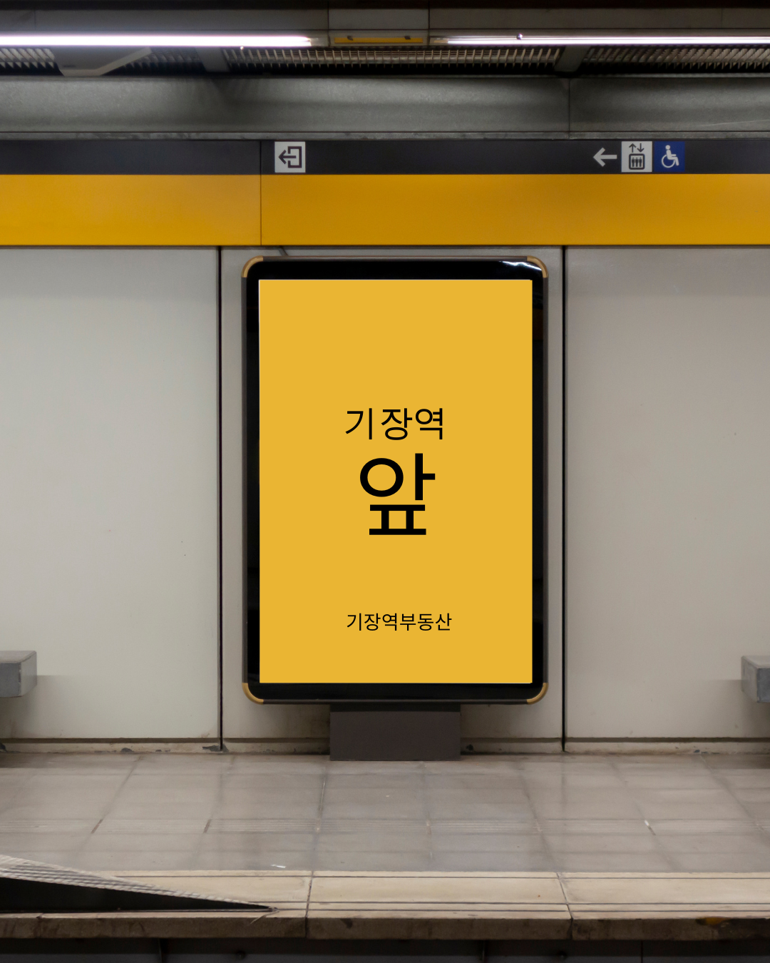 헤이스테이 기장본점 반려동물 동반 애견카페