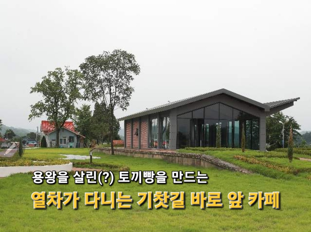 카페용궁역 경상 애견맛집