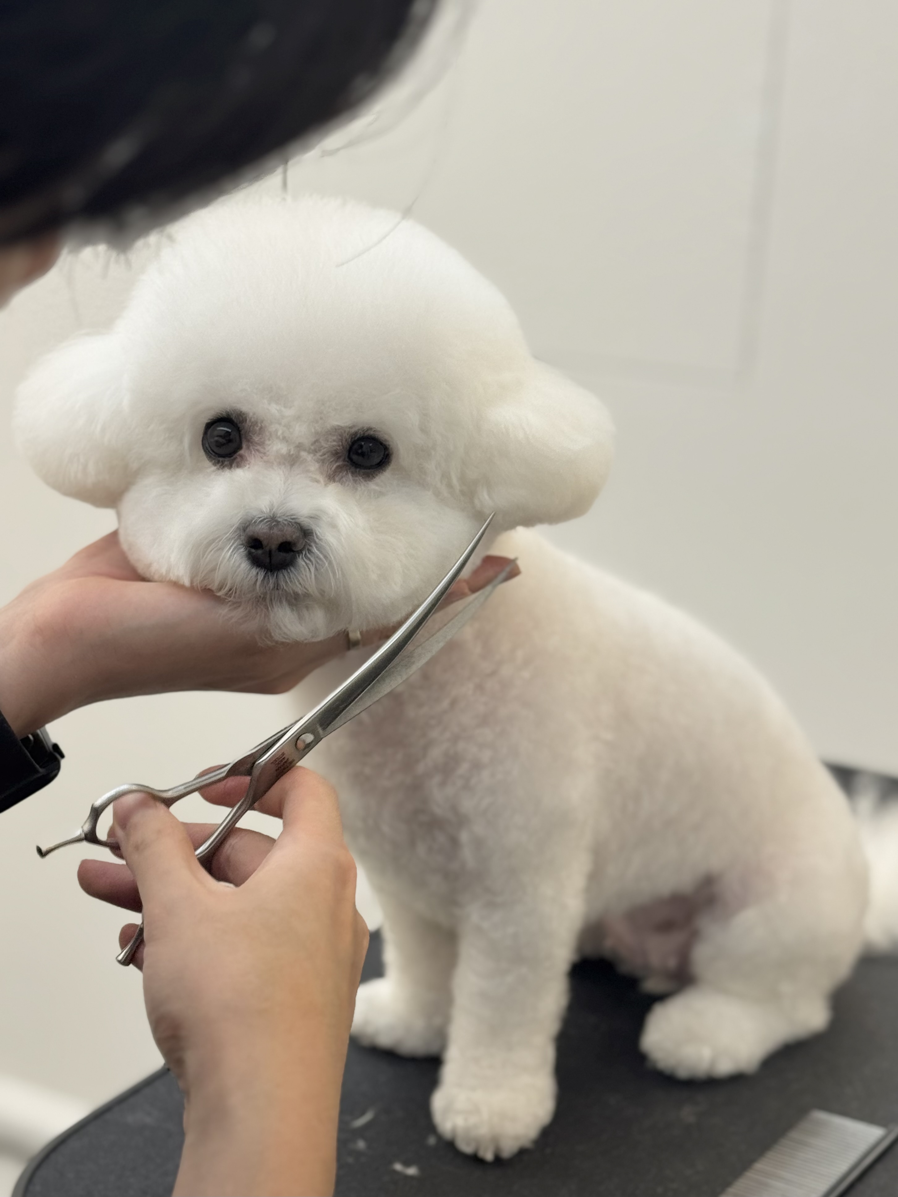 몽몽찌 대표 이미지