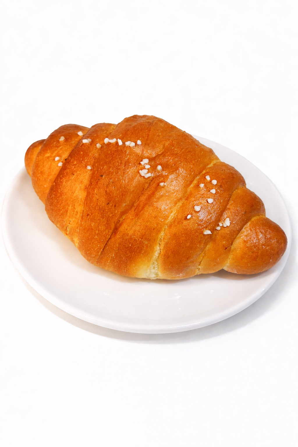 콩매아 충청 애견맛집