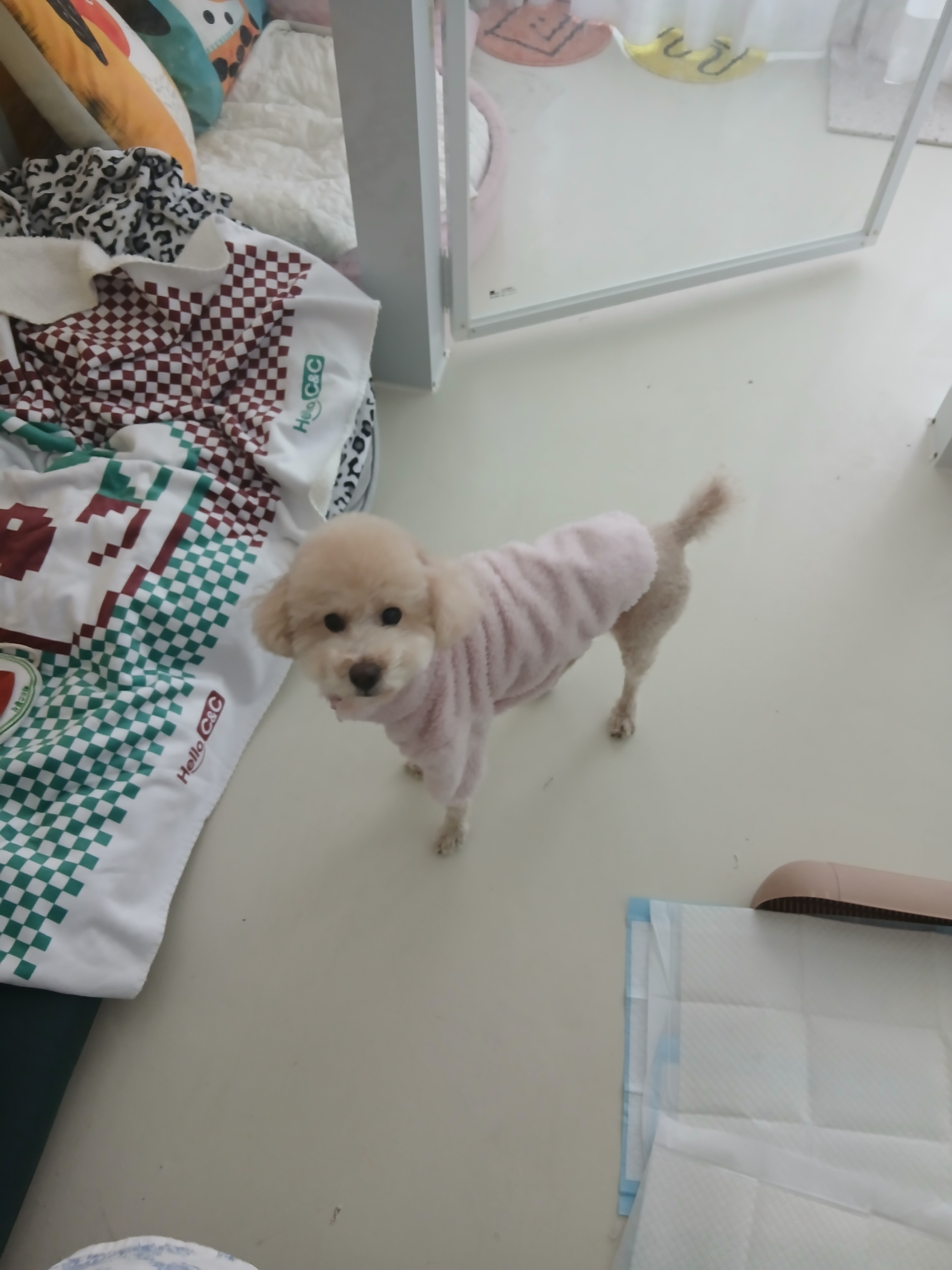 신비로운지구 대표 이미지