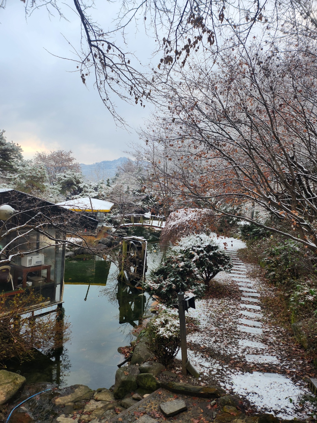 강경숯불바베큐 양주점 3