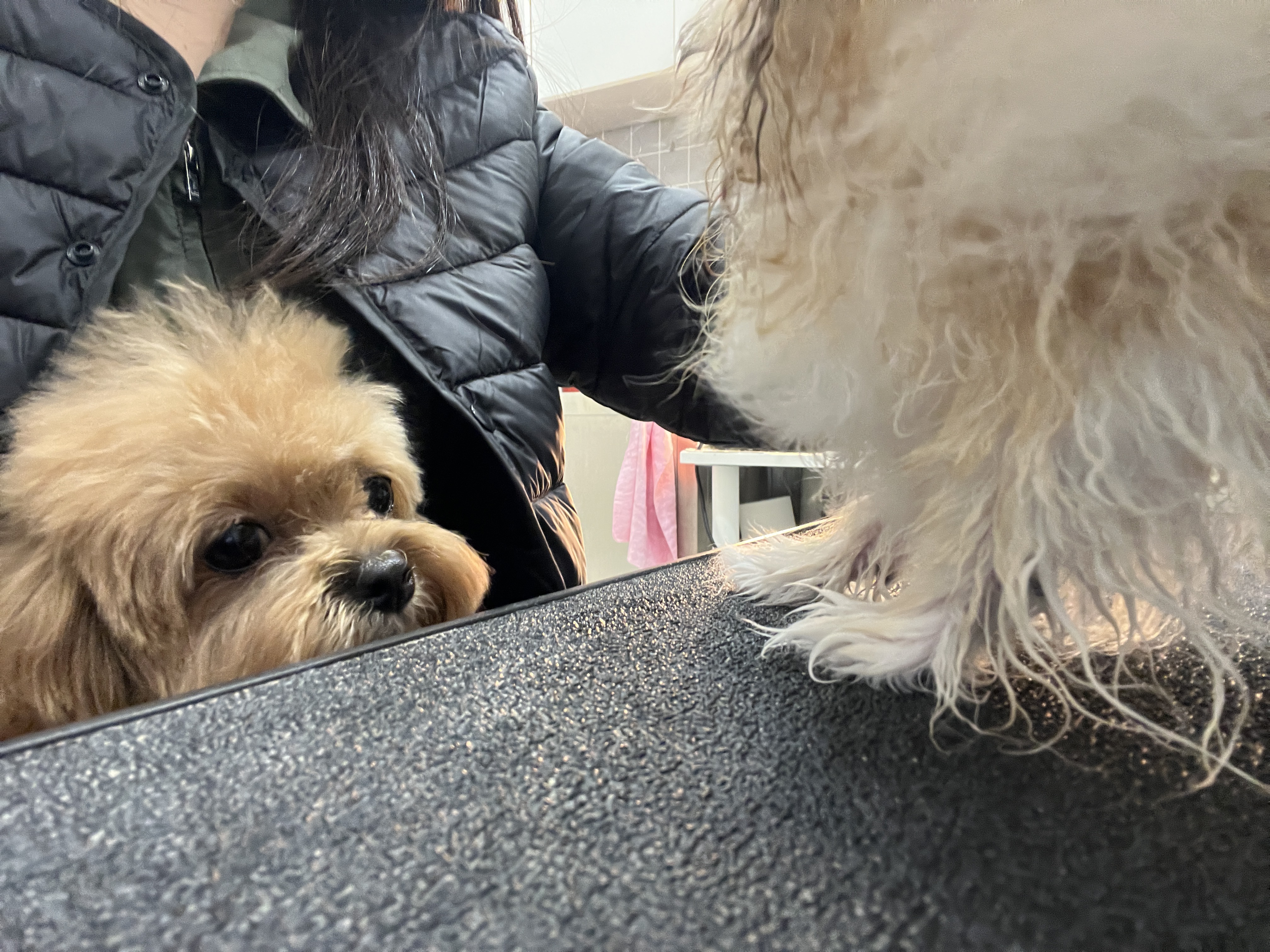 포어웨이즈 대표 이미지