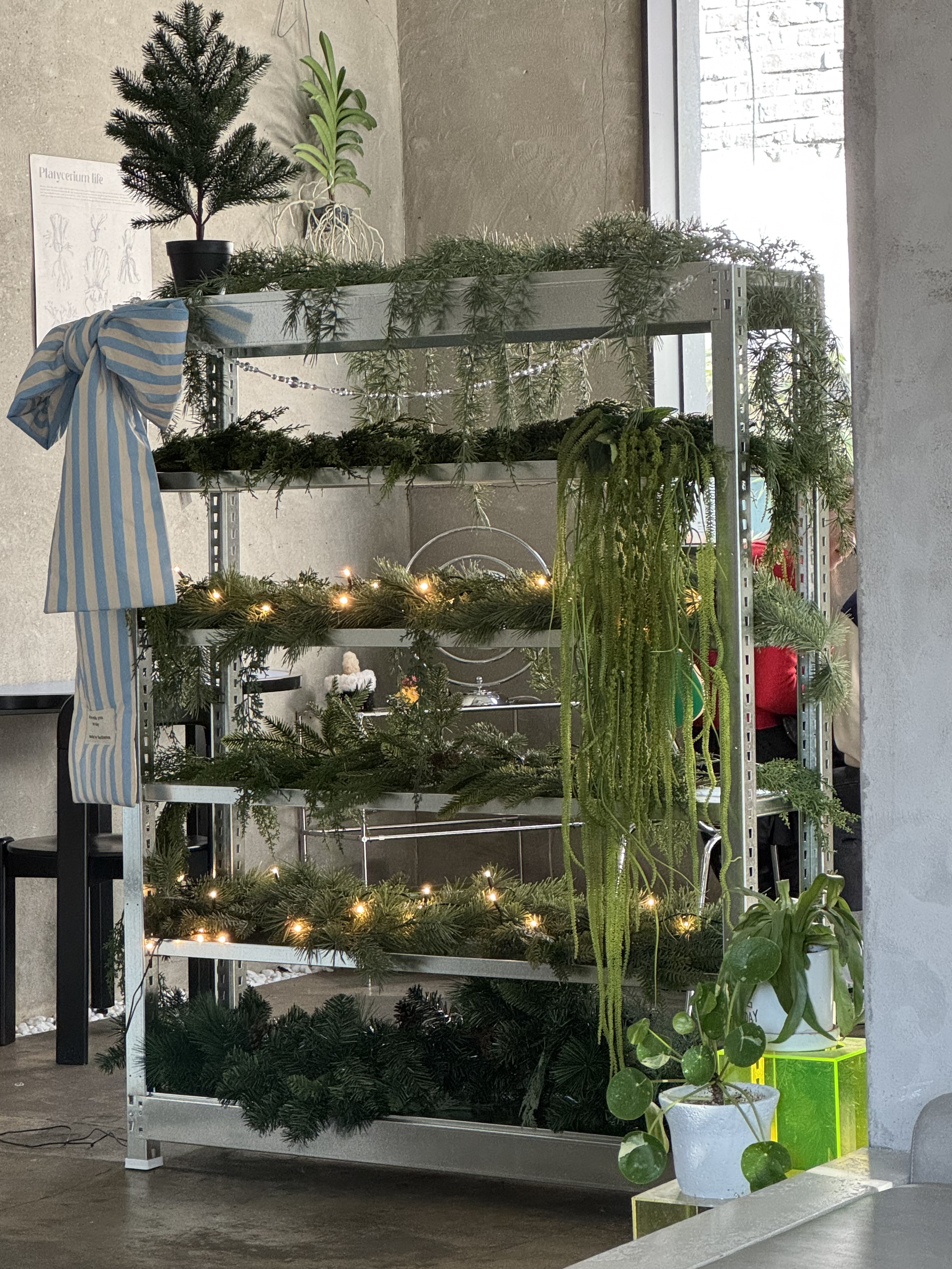 그리너리하우스 사진 2