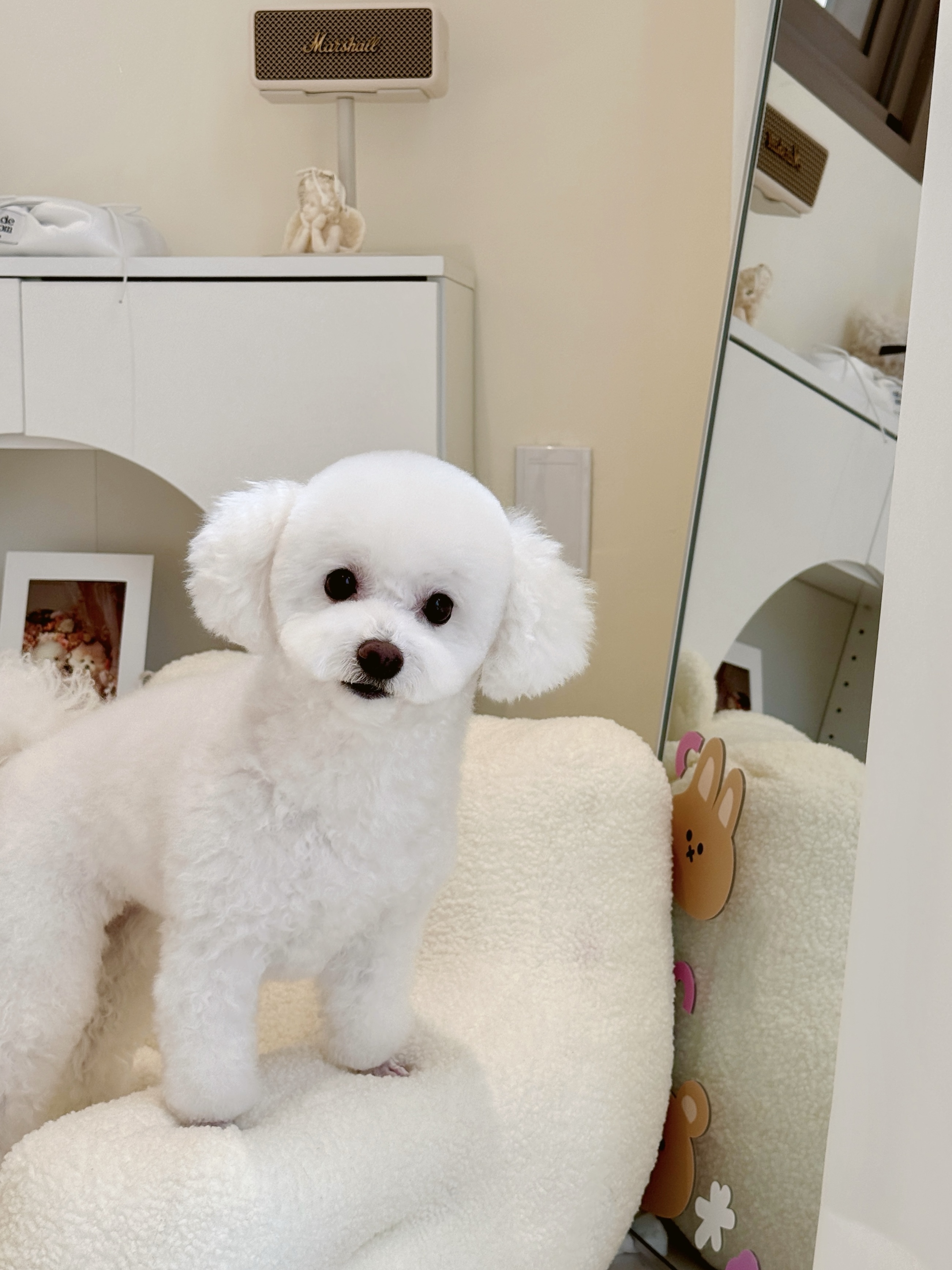 살롱드뽀뽀 대표 이미지