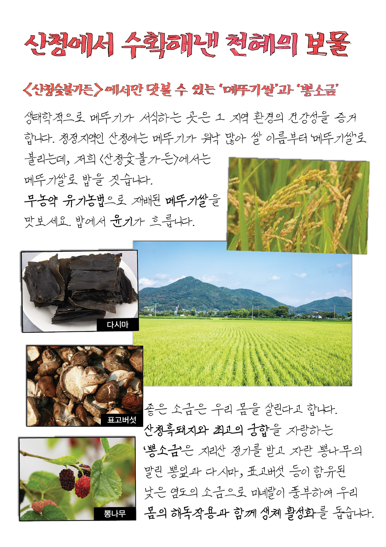 산청숯불가든 마곡 photo 5