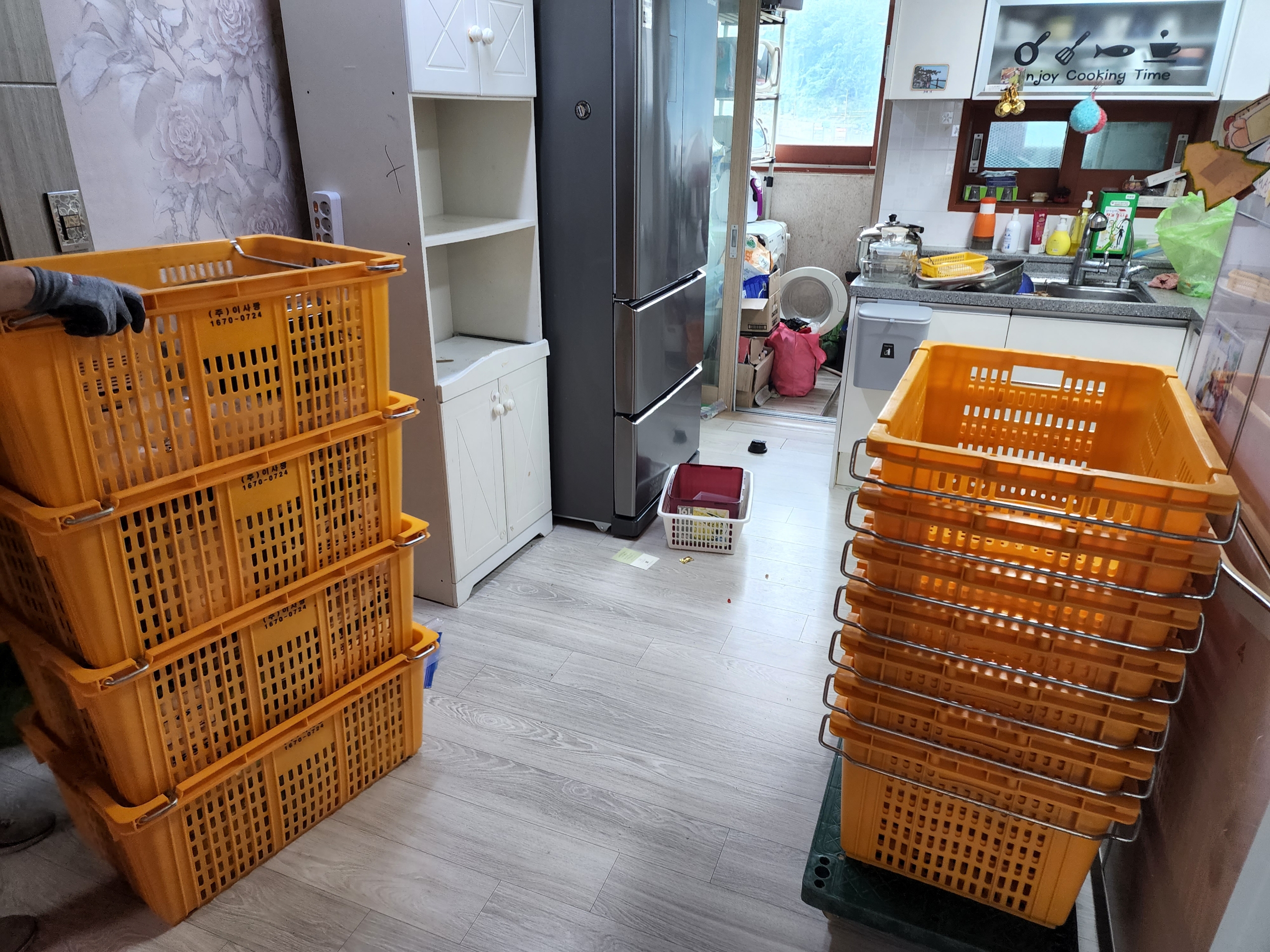 이사짱 대표 이미지