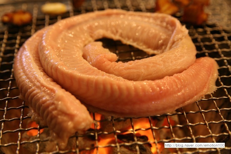 꼼짱