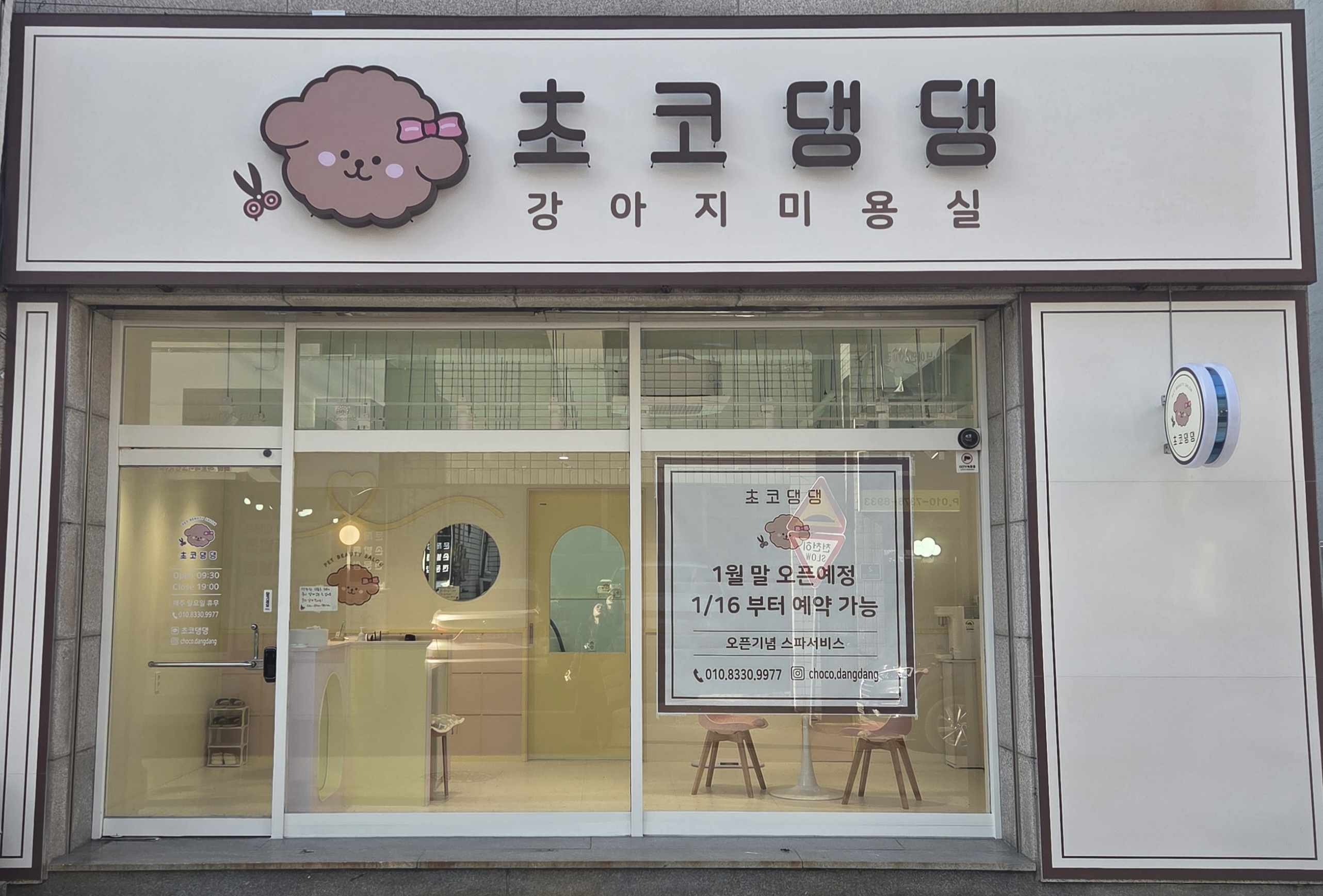 초코댕댕 대표 이미지