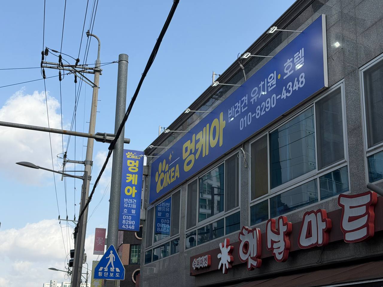 사진 3
