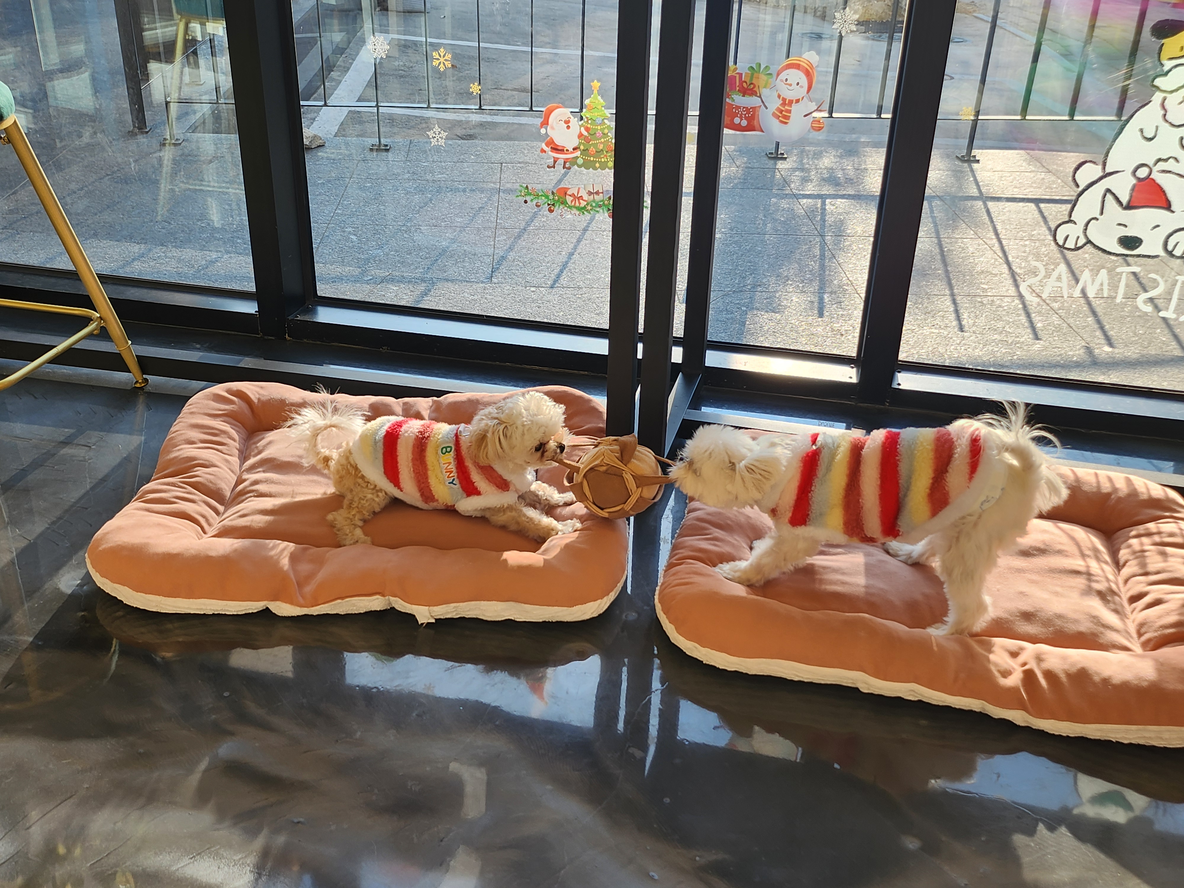 낼름&애견샵 대표 이미지