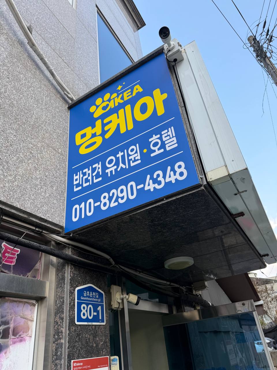 사진 5