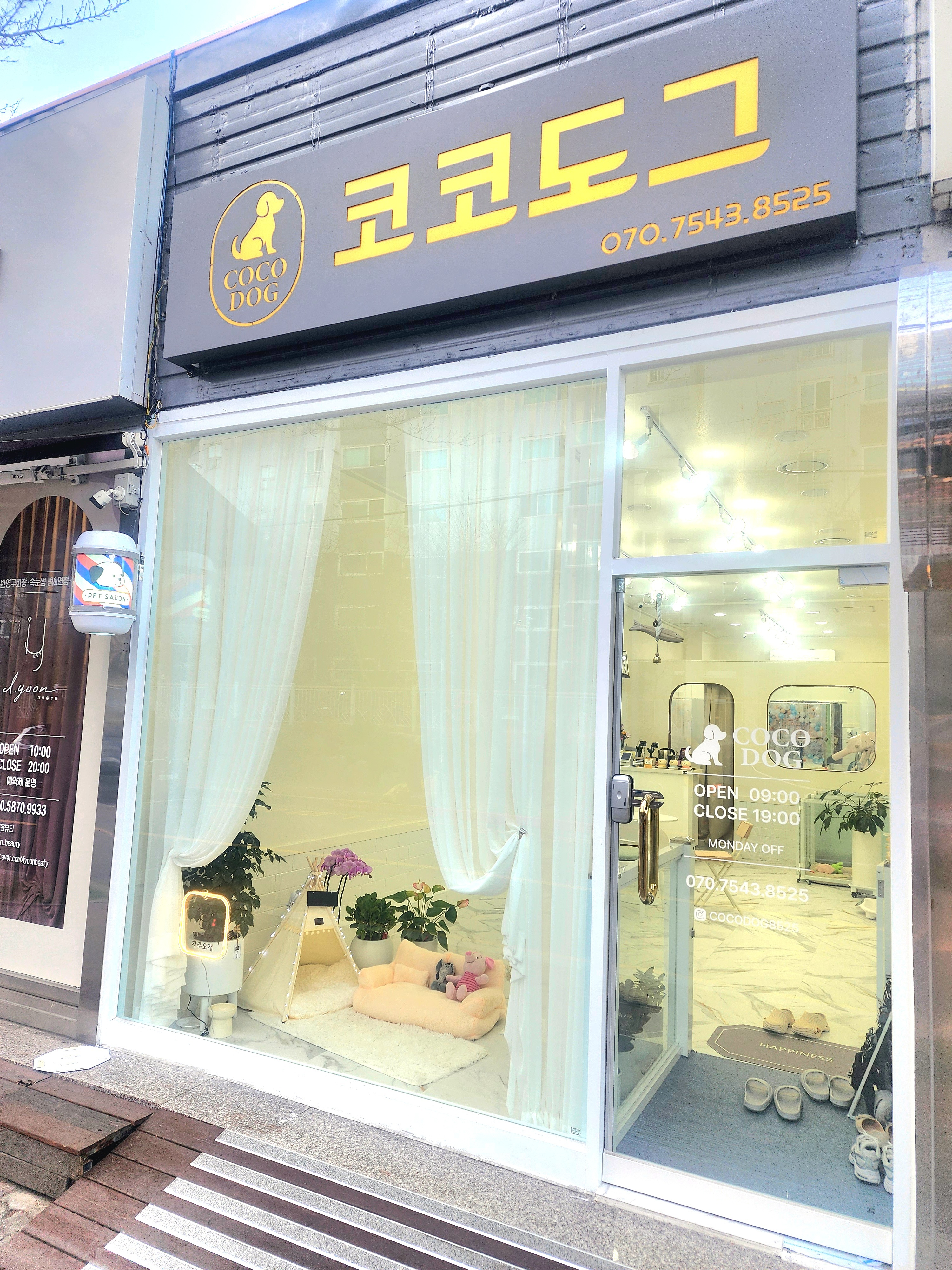코코도그 대표 이미지