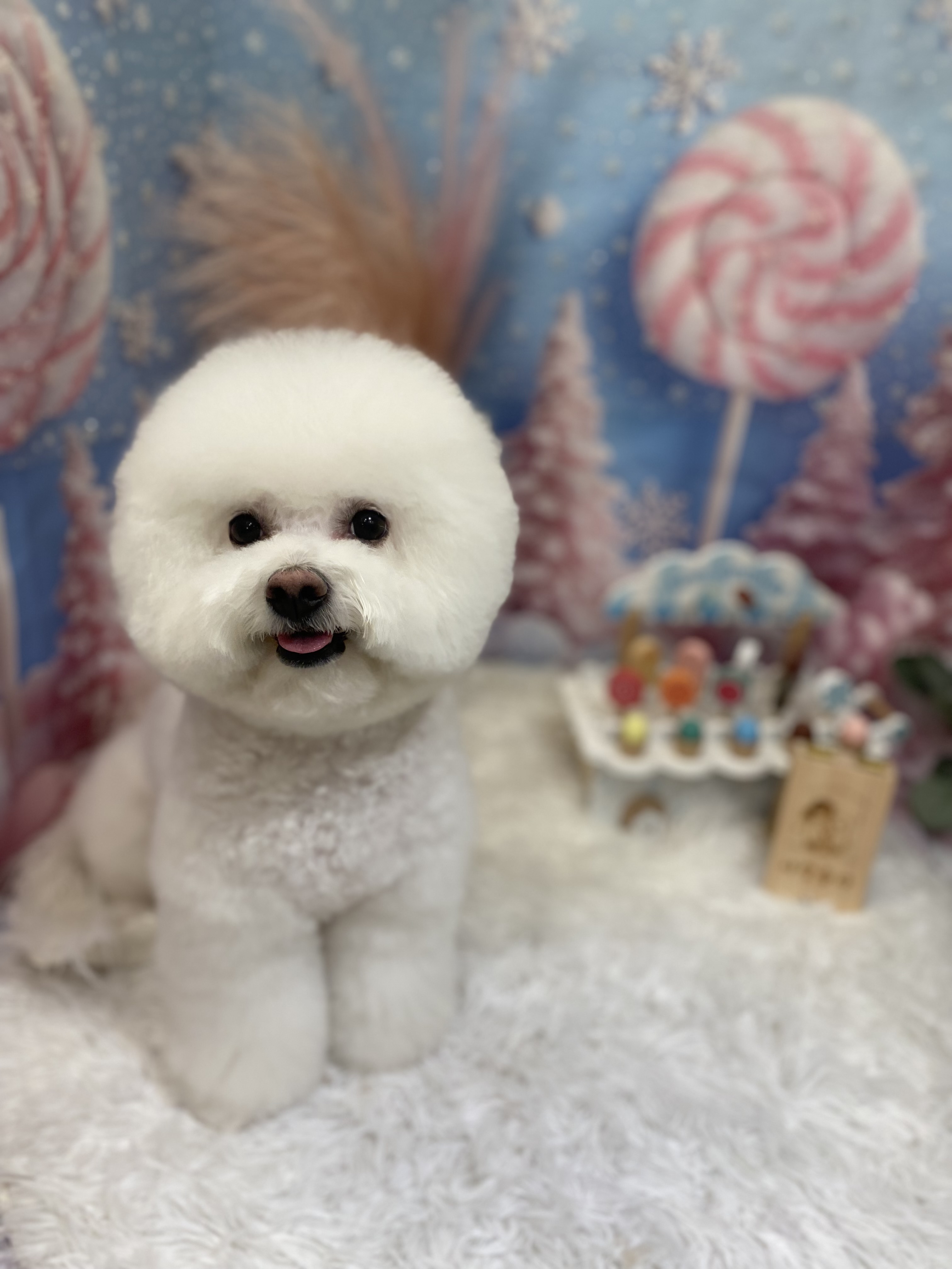 사랑옵다 대표 이미지