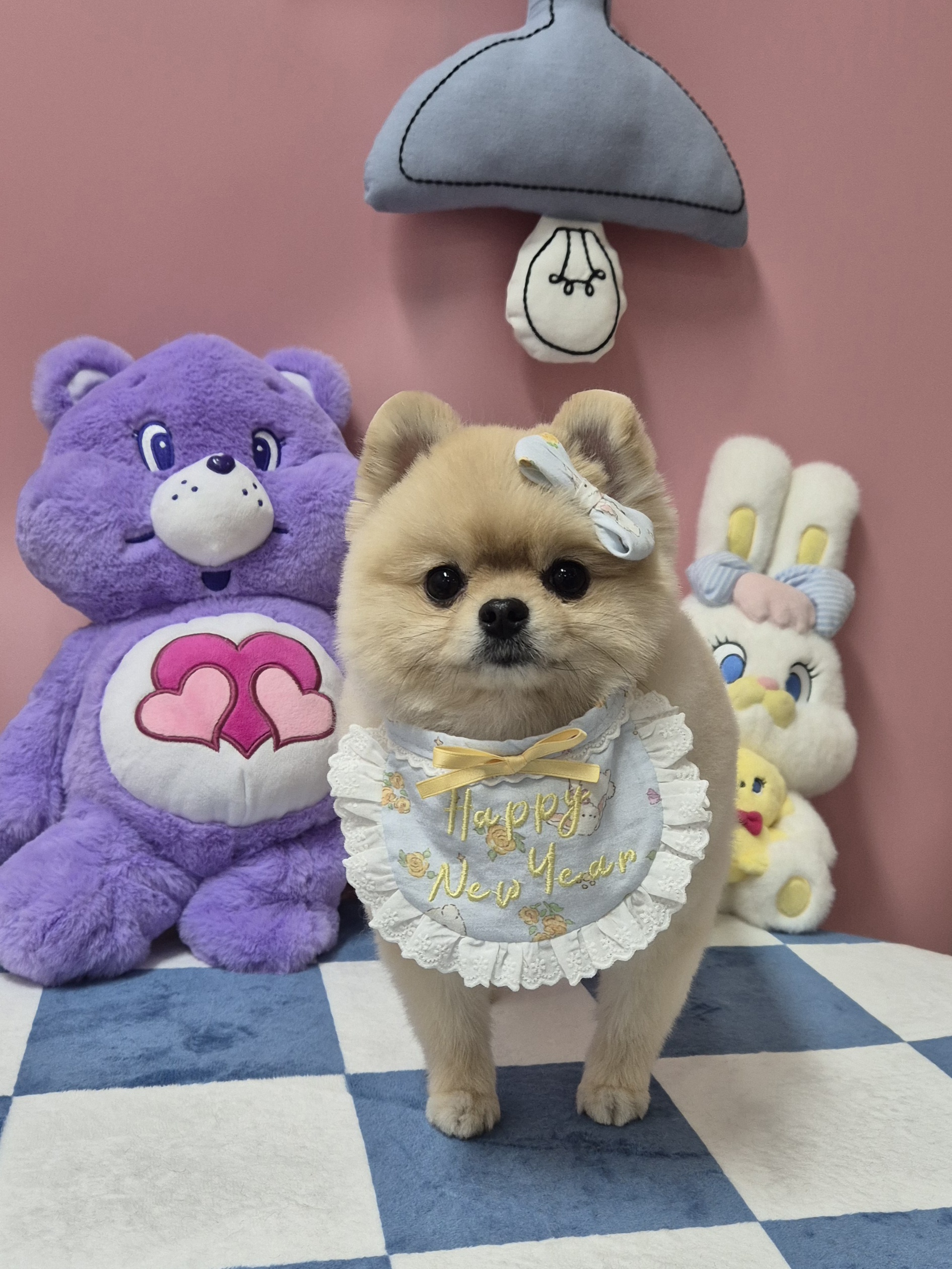 뛰댕길겨미용할겨 대표 이미지