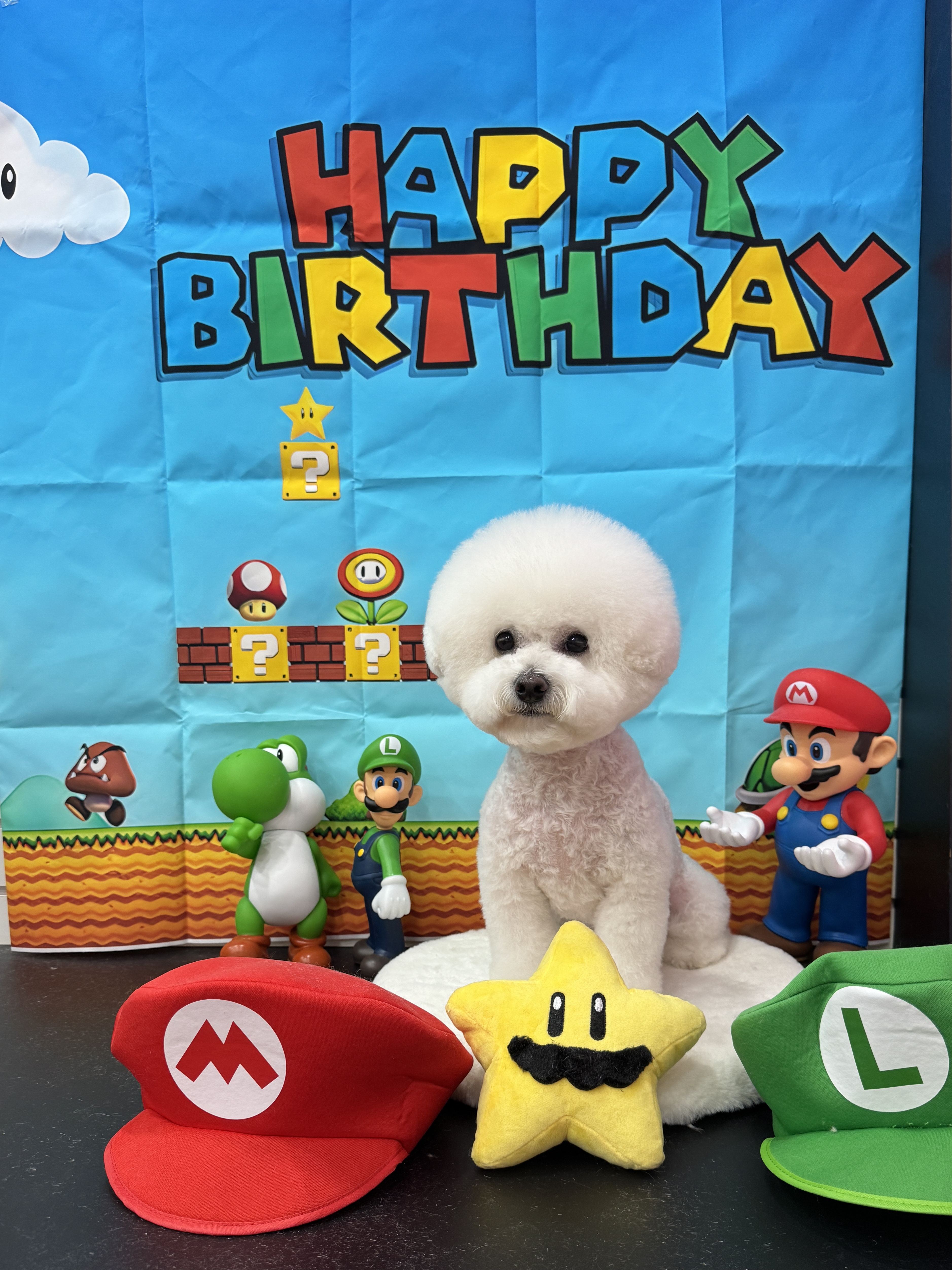 바나개 대표 이미지