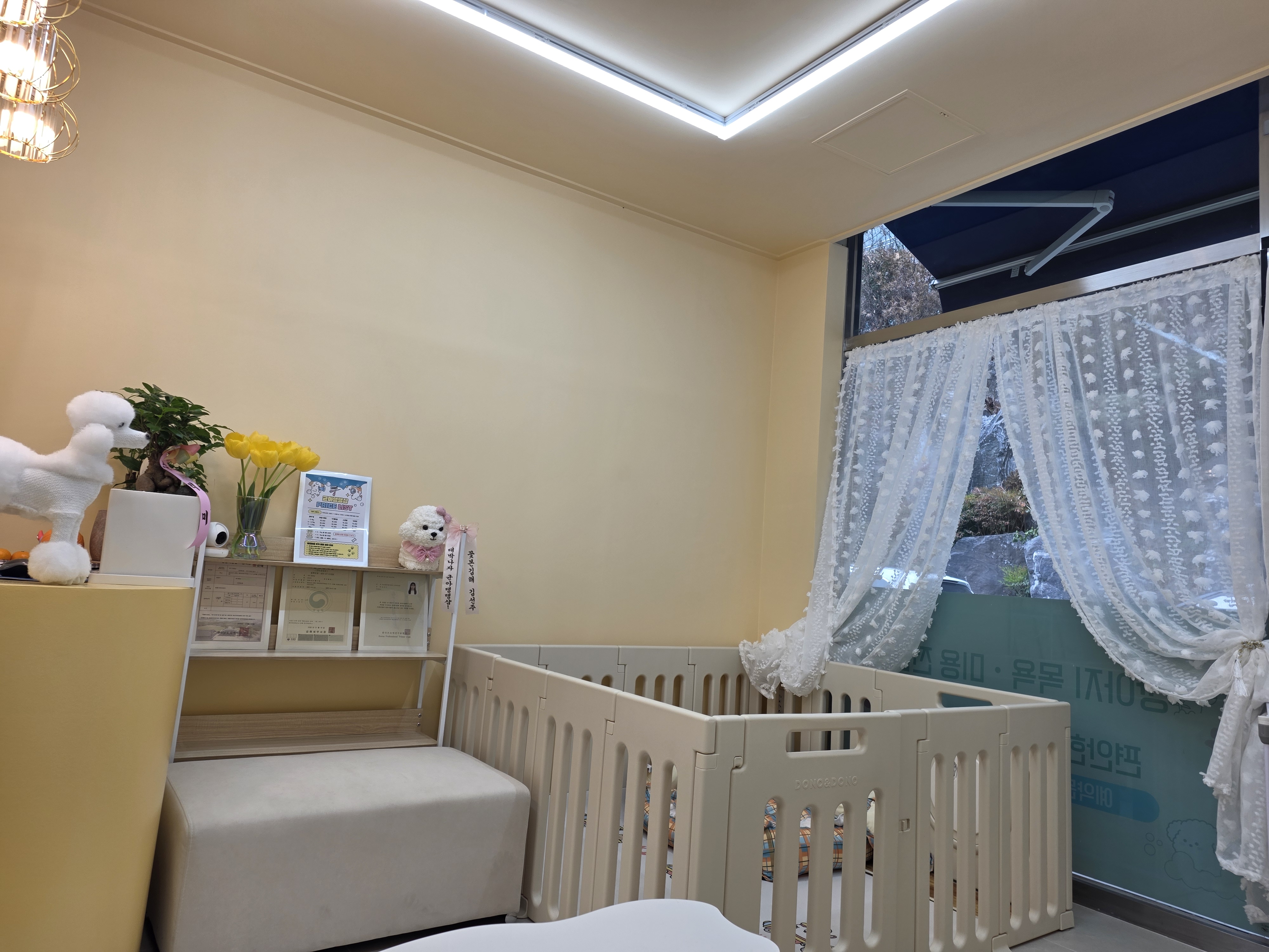 균아댕댕샵 대표 이미지