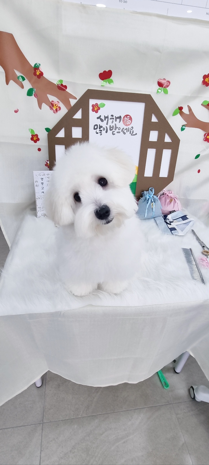 더예뻐지개 대표 이미지