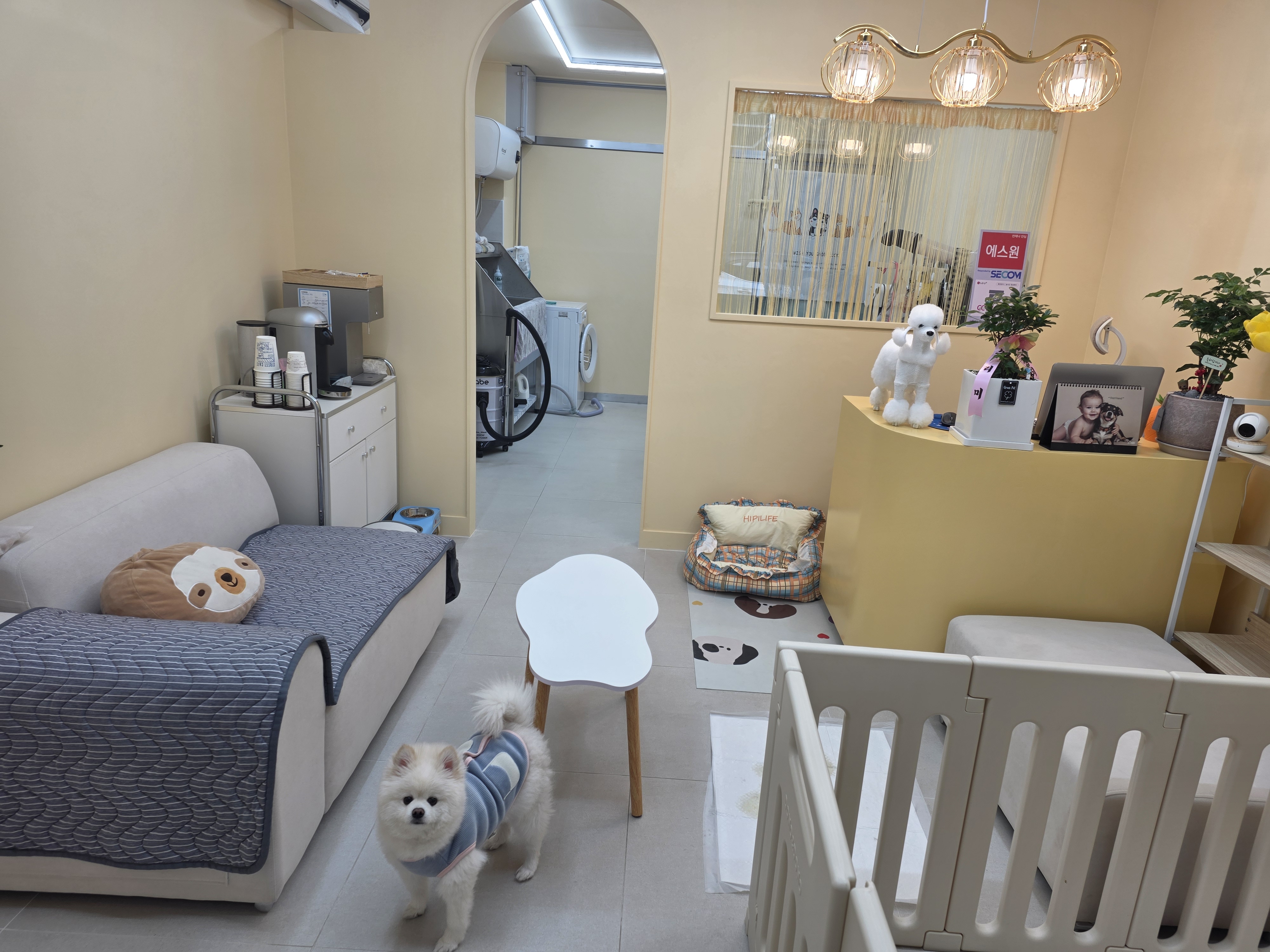 균아댕댕샵 대표 이미지