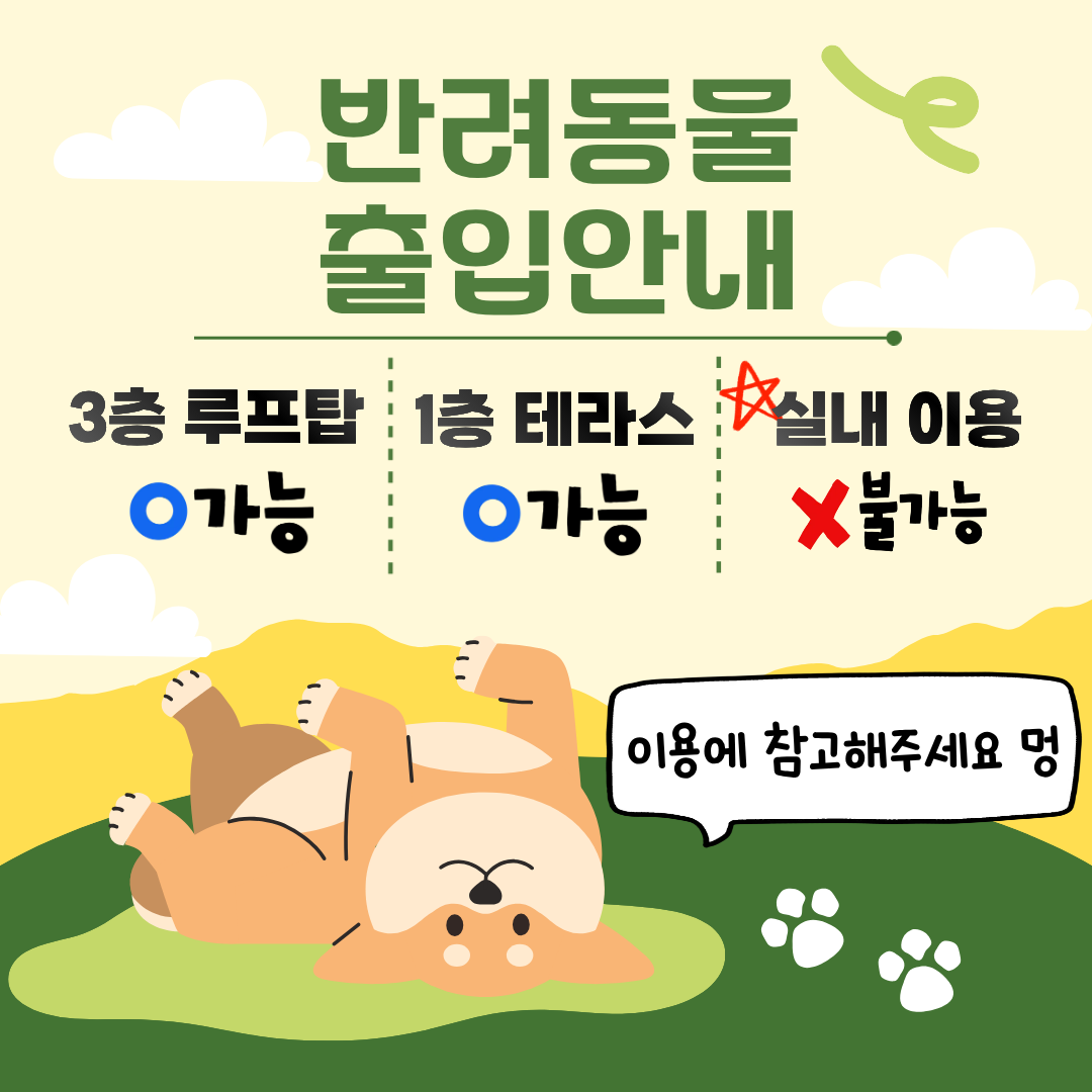 코트니타이거 경상 애견맛집