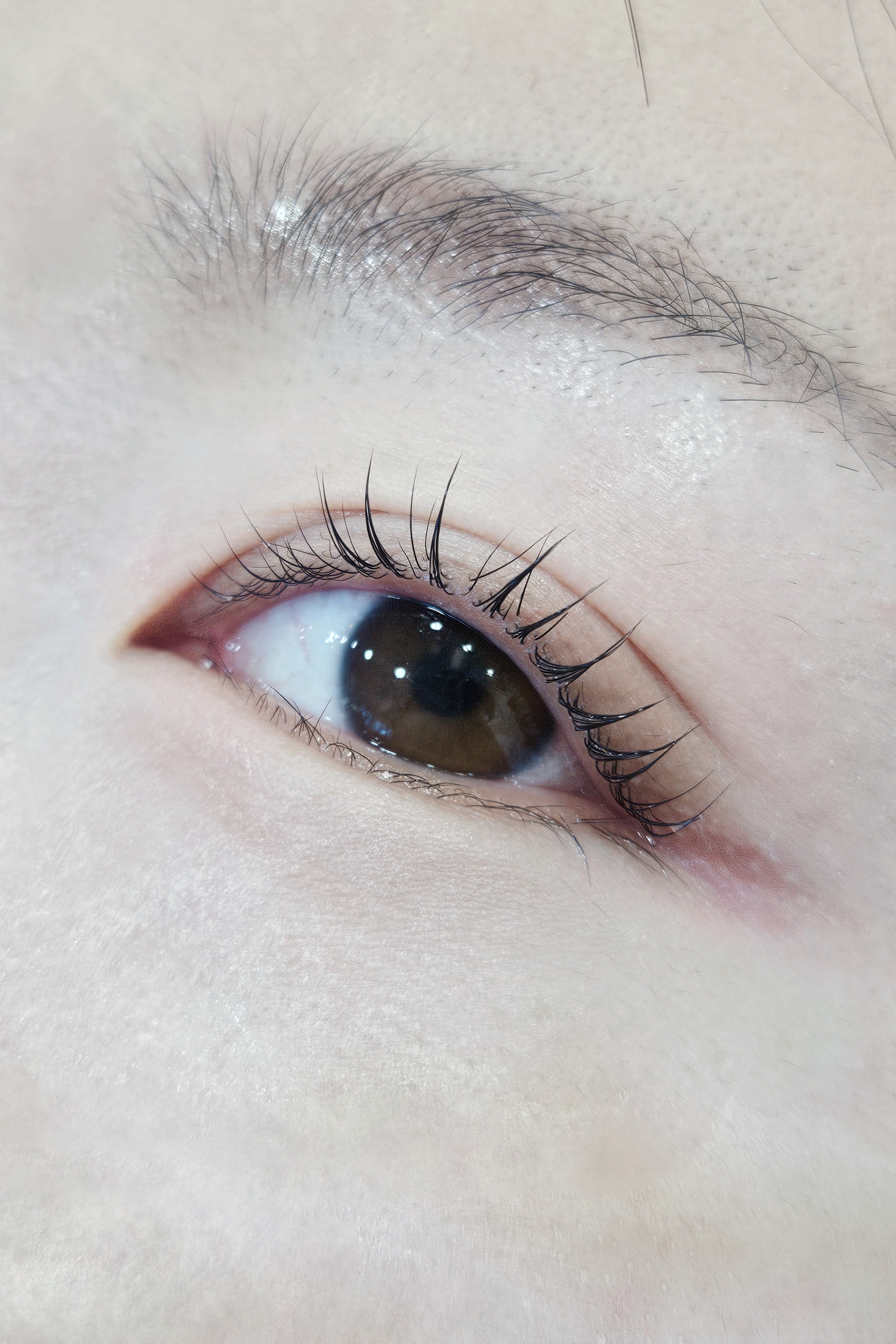 더블링아이 대표 이미지