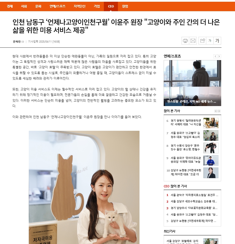 언제나고양이 대표 이미지