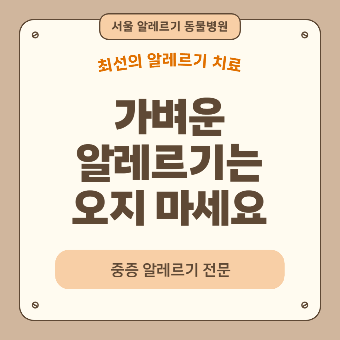 서울알레르기동물병원 대표 이미지