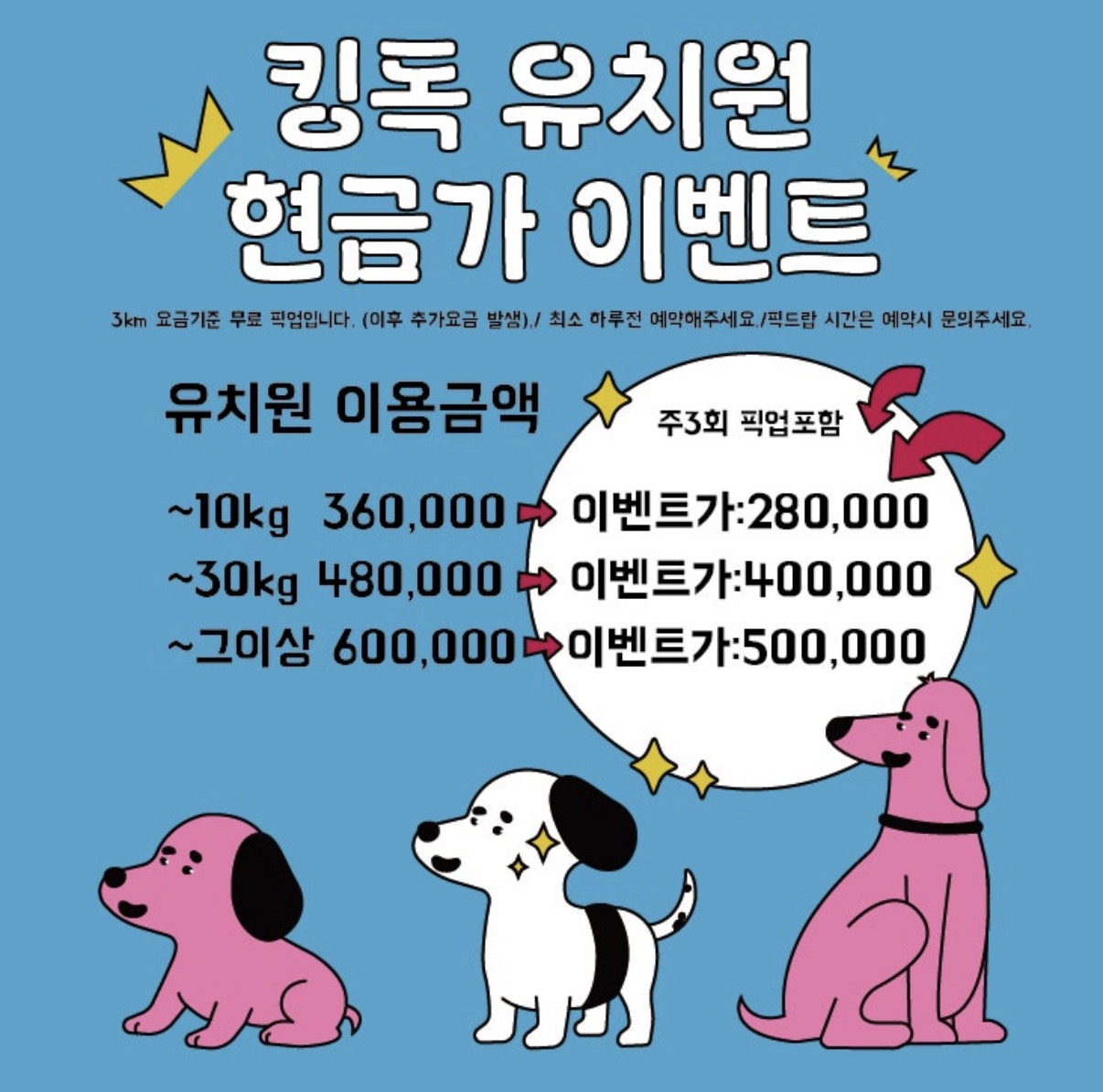 킹독 5