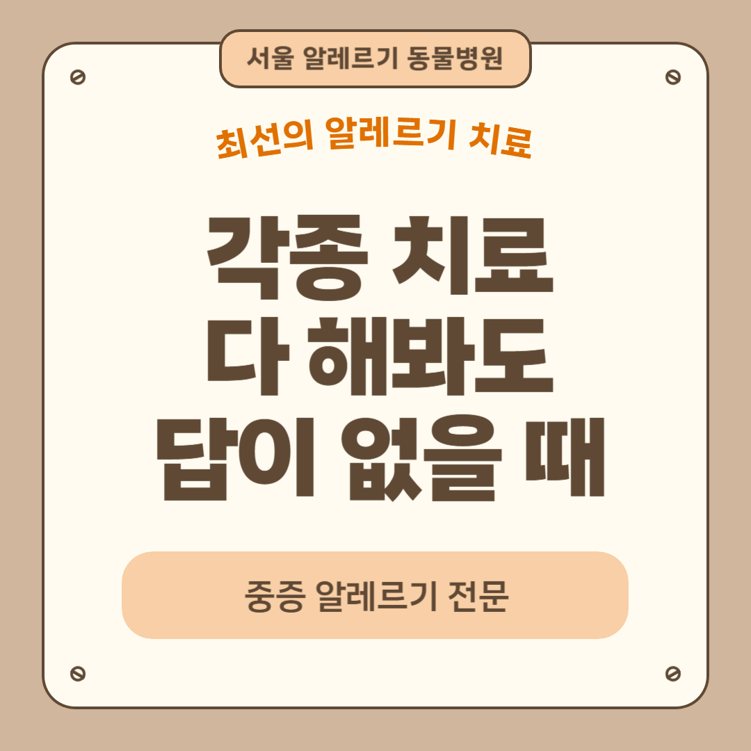 서울알레르기동물병원 대표 이미지