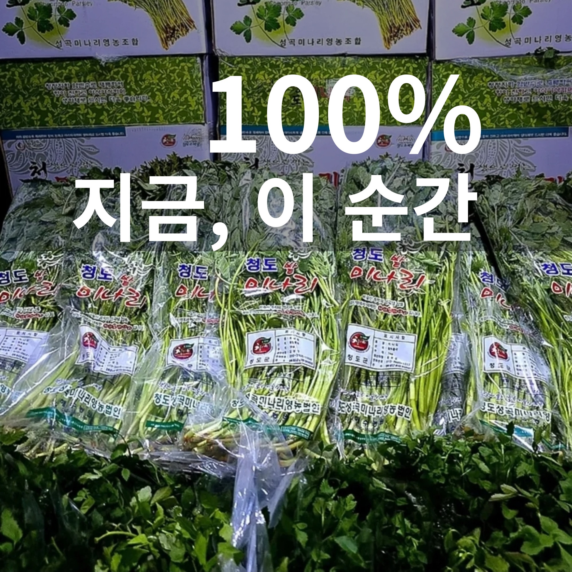 고기굽는남자 성서점