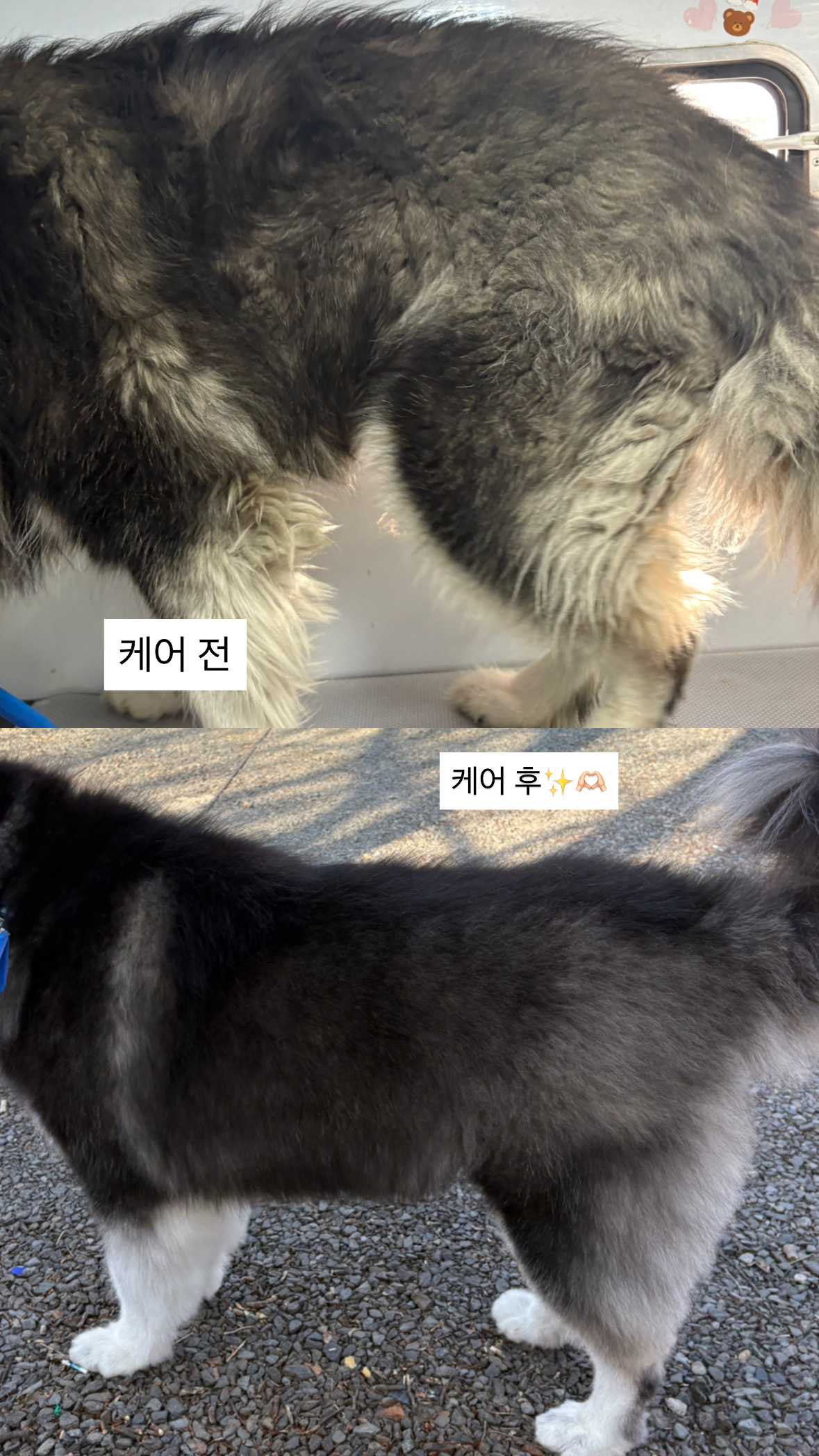 멍즈니랜드 대표 이미지