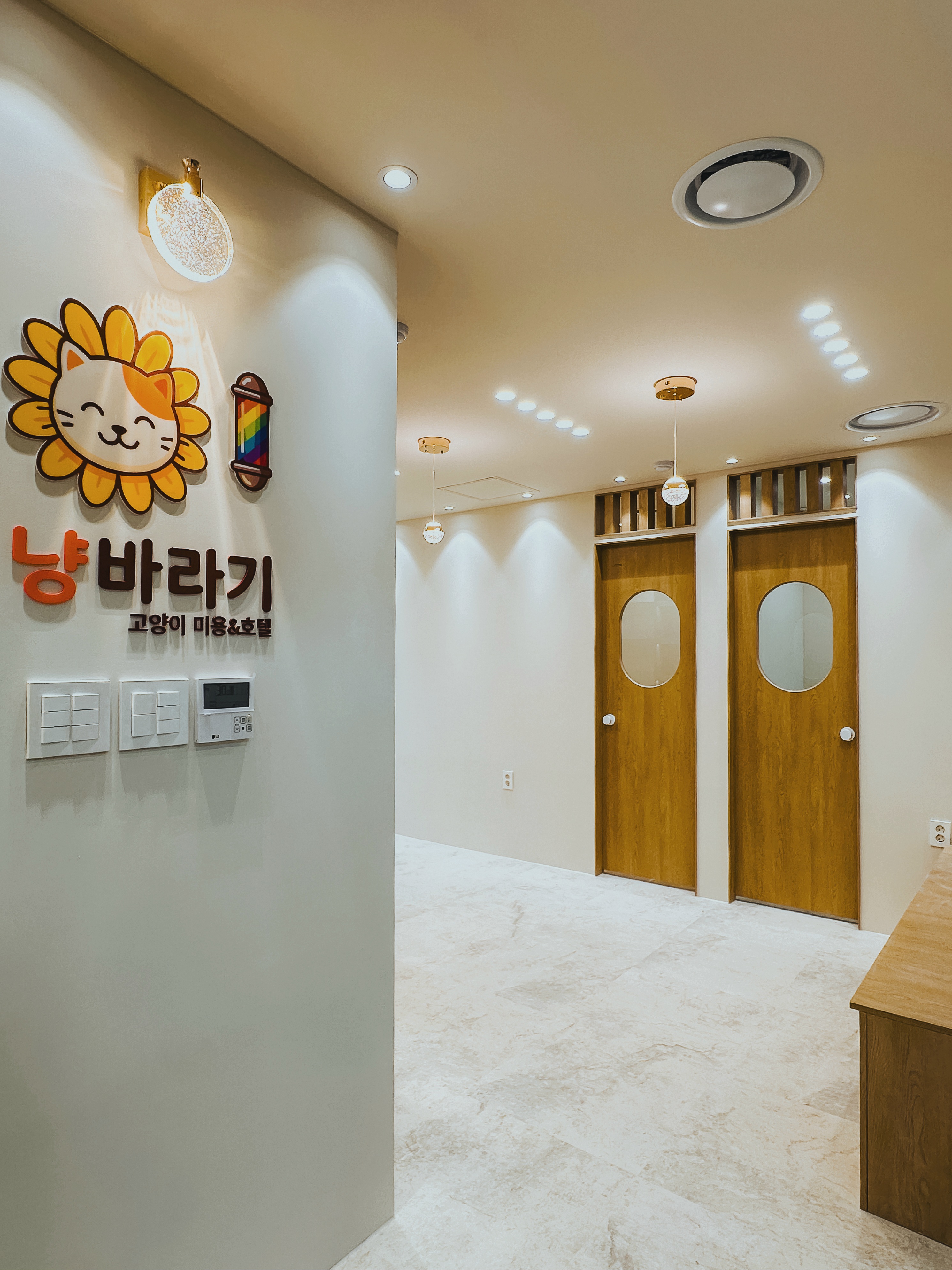 냥바라기 대표 이미지