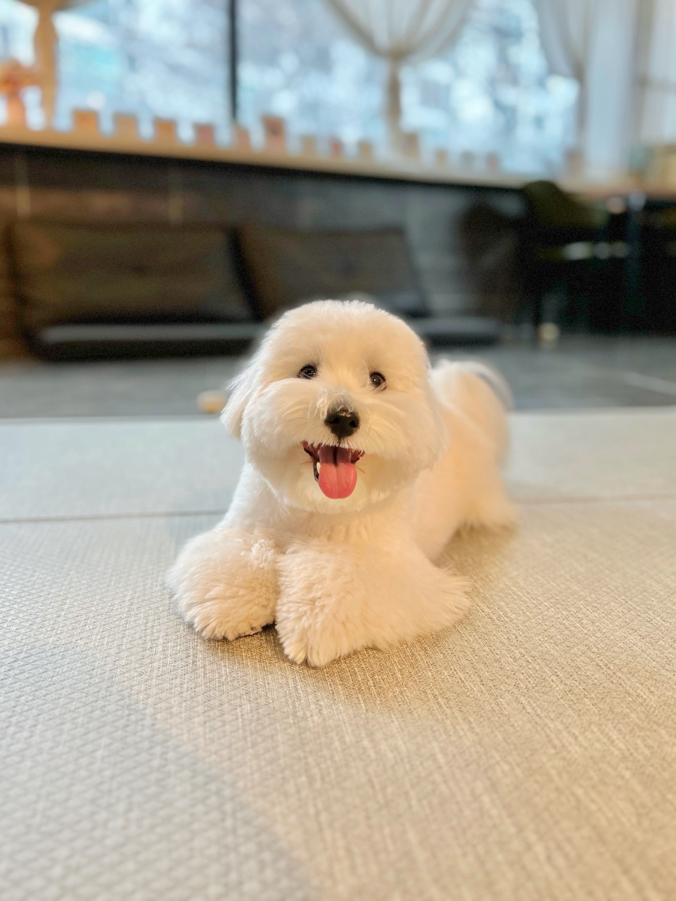 카페멍스 대표 이미지