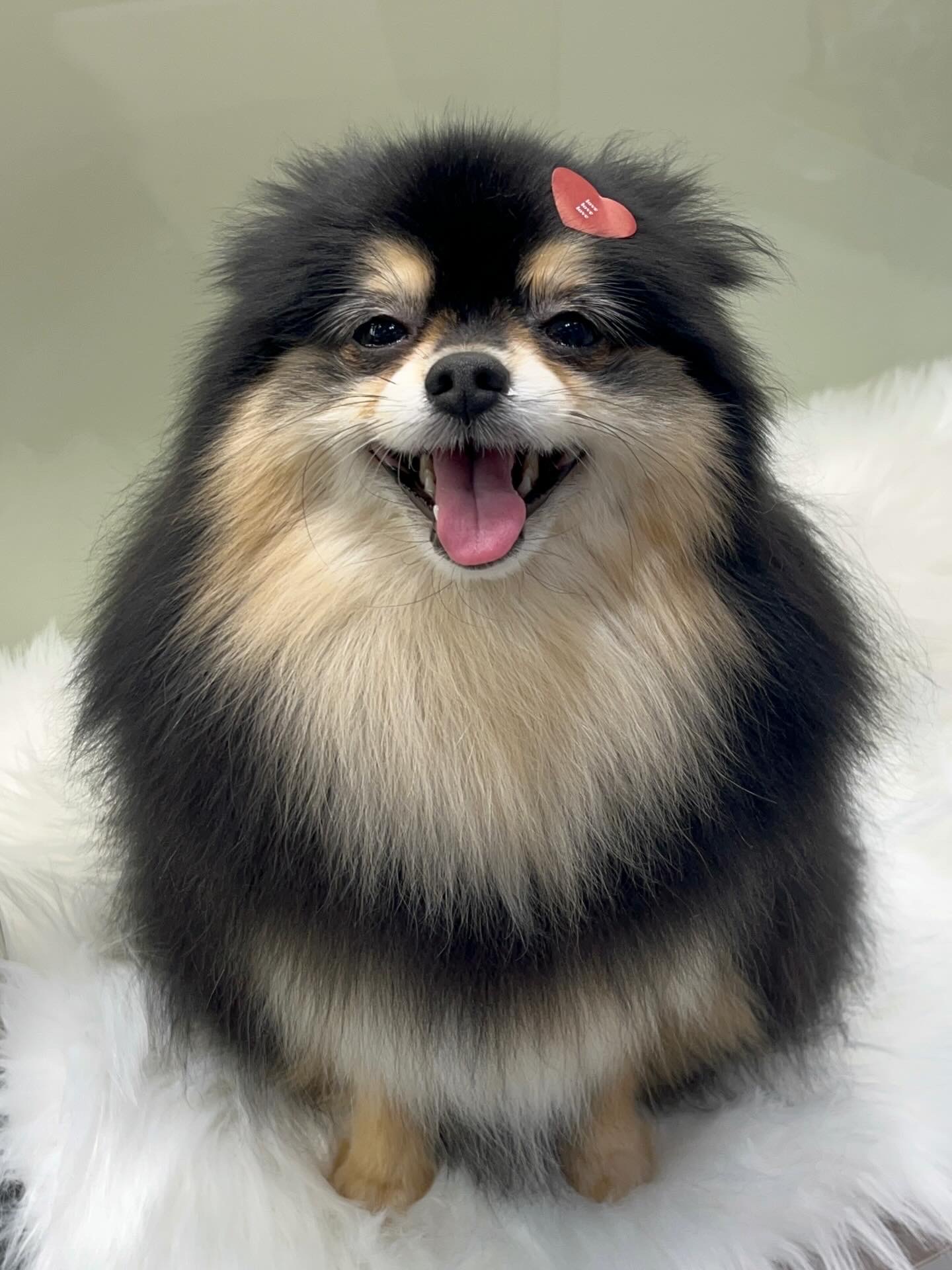 사진 4