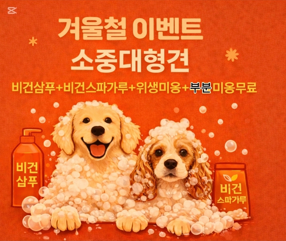 사랑할개 대표 이미지