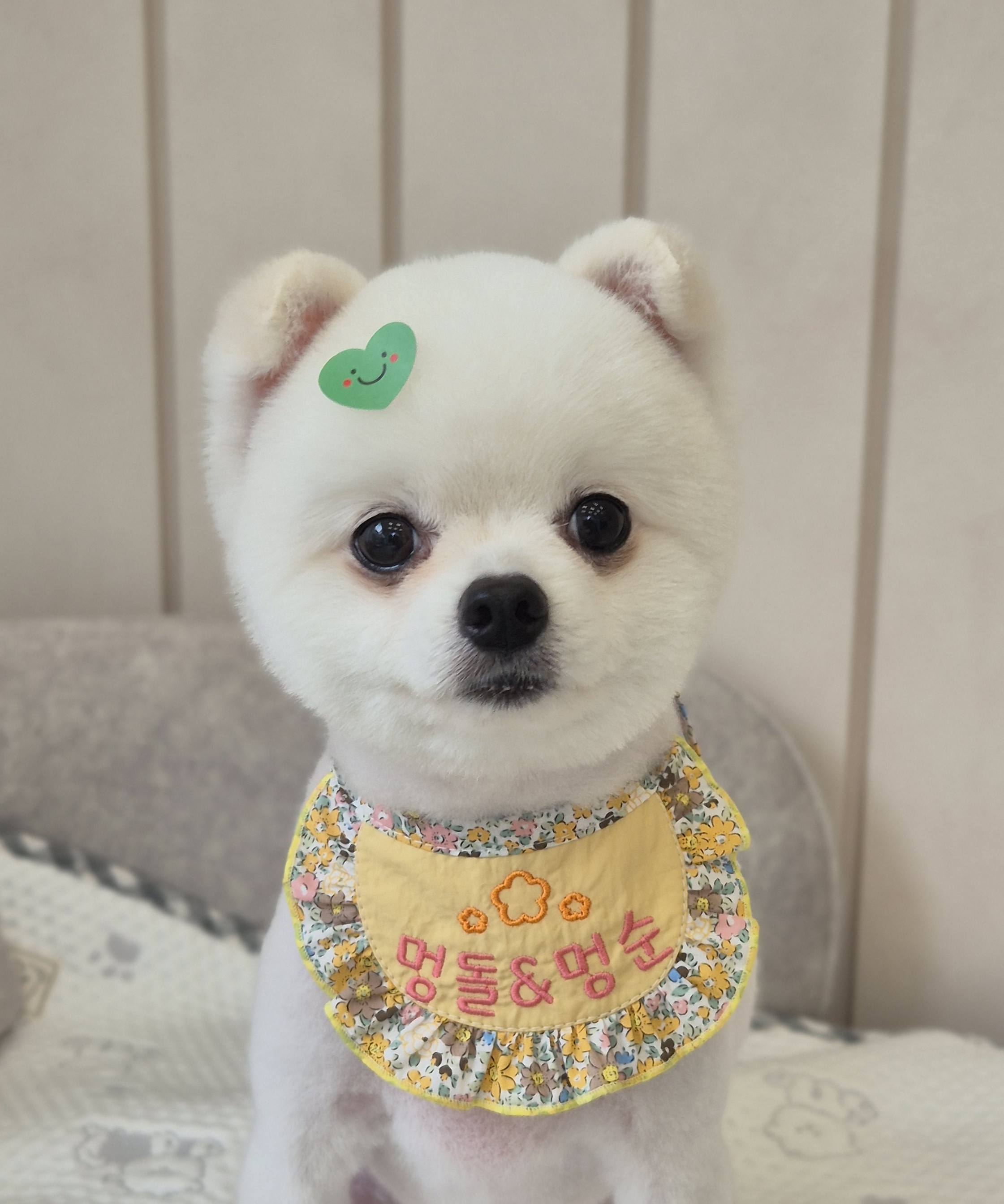 멍돌이와 멍순이 대표 이미지