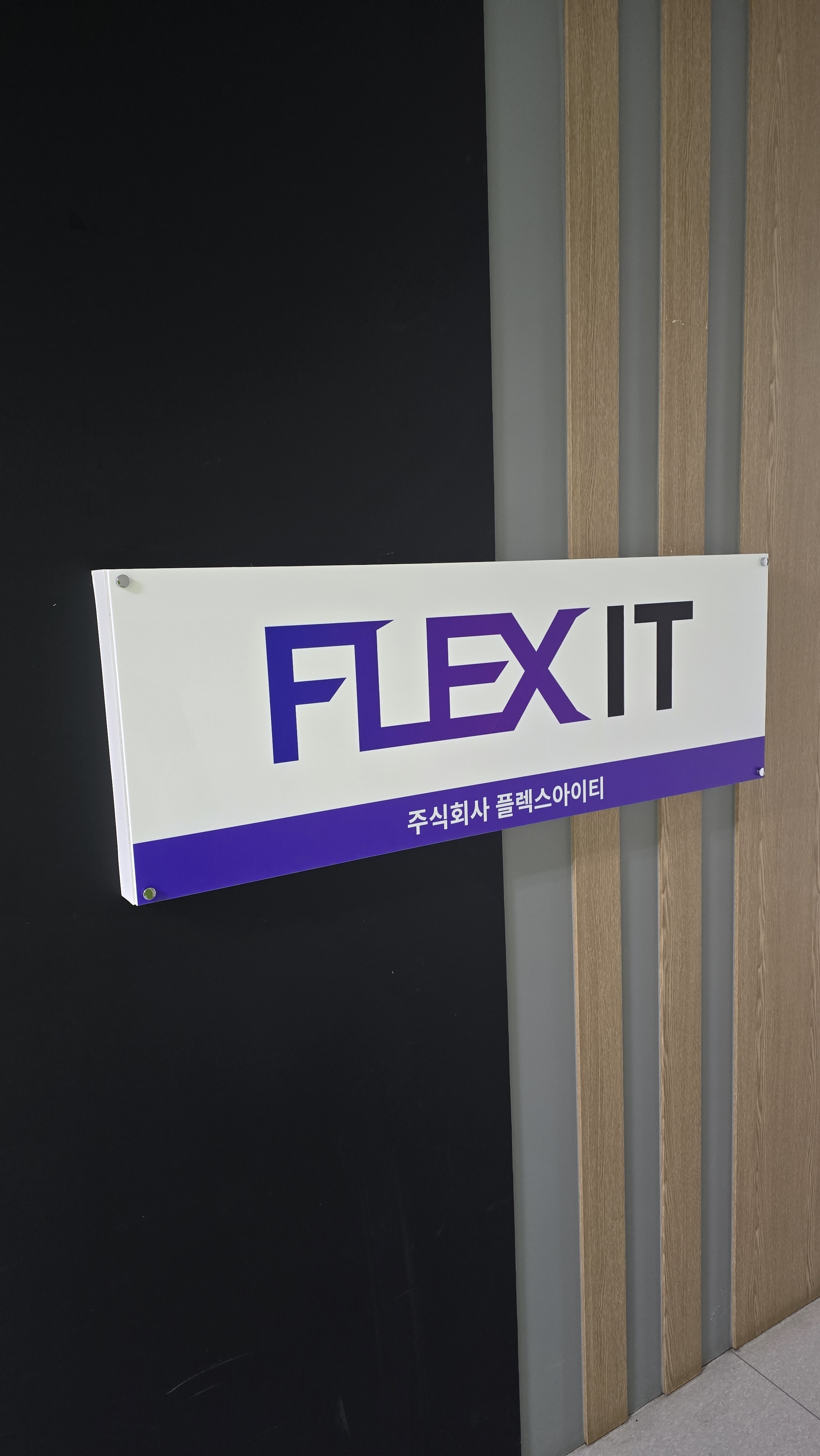 플렉스아이티